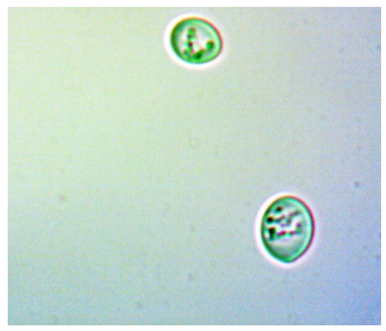 Sensors 24 06587 g022