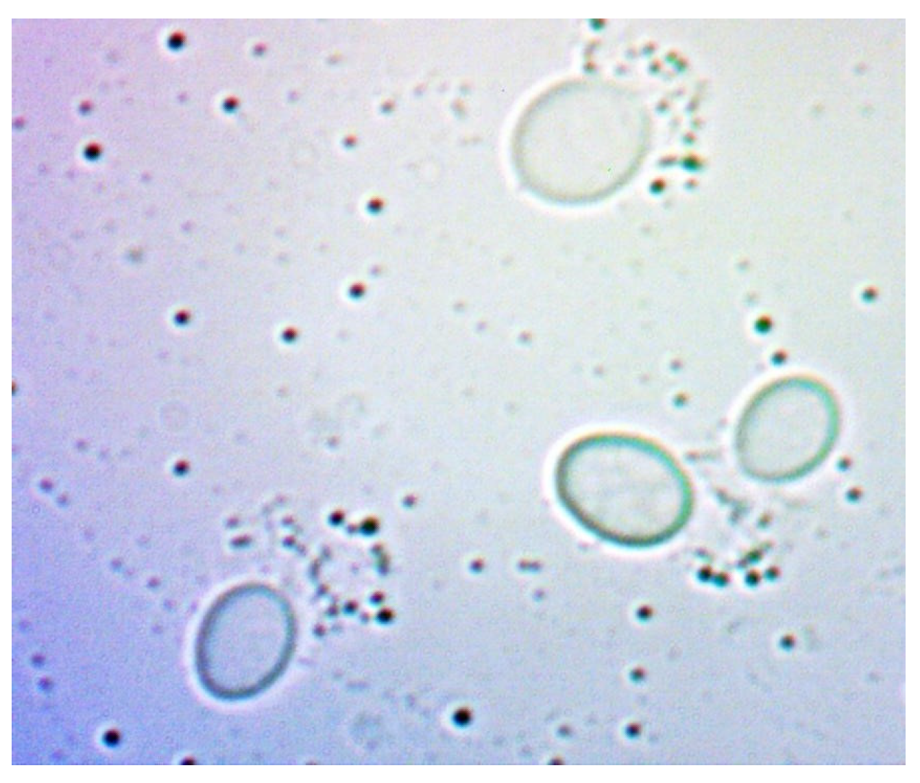 Sensors 24 06587 g026