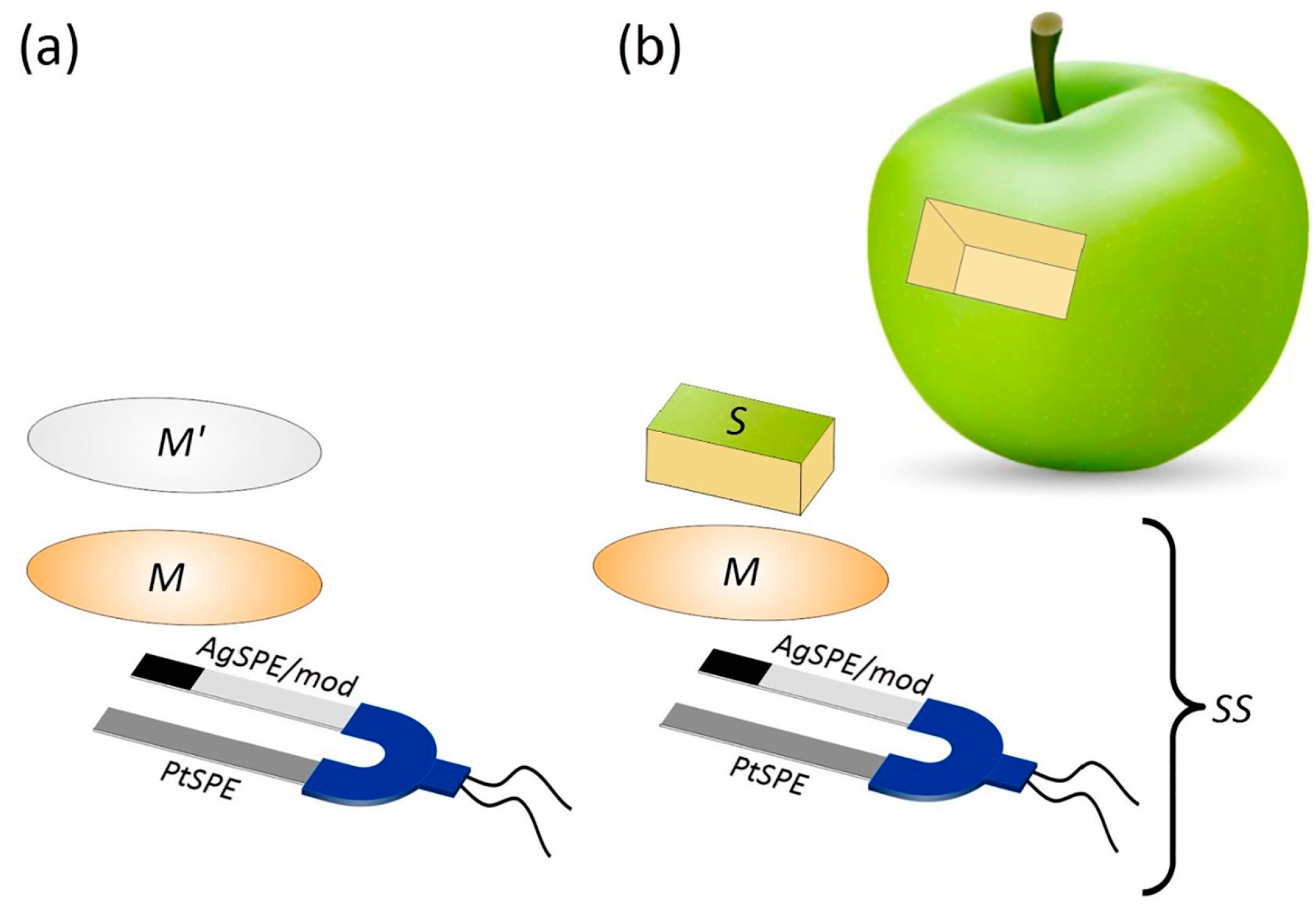 Sensors 24 06588 g004