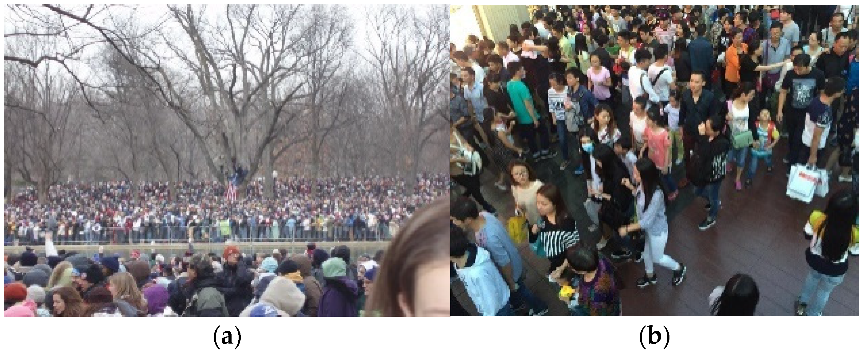 Sensors 24 06612 g009