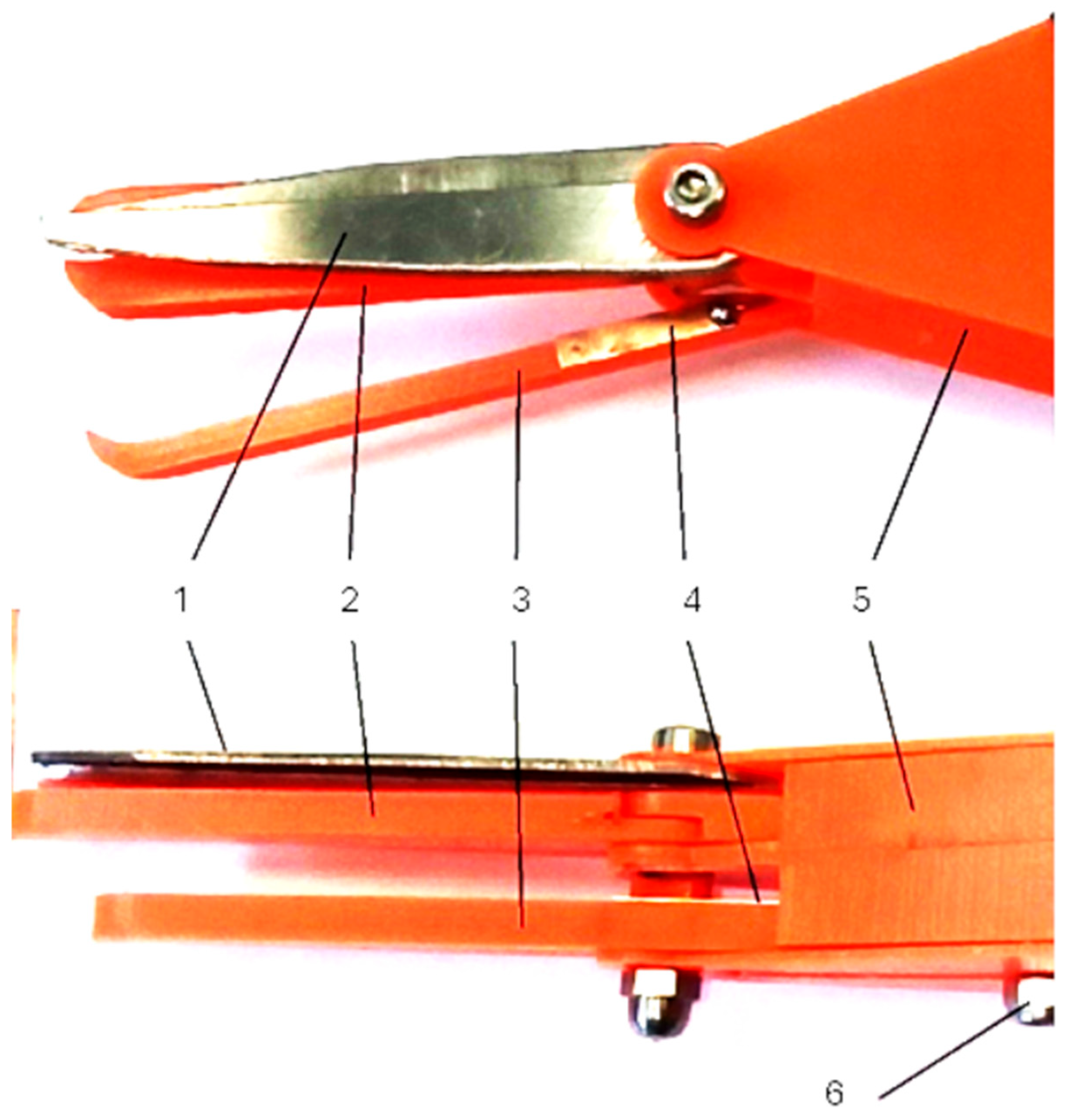 Sensors 24 06628 g010