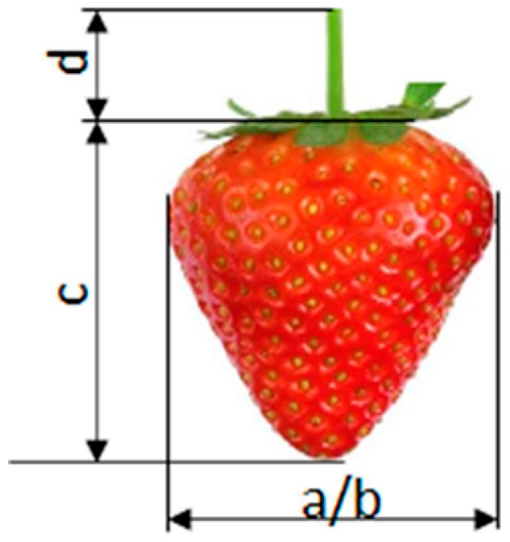 Sensors 24 06628 g014