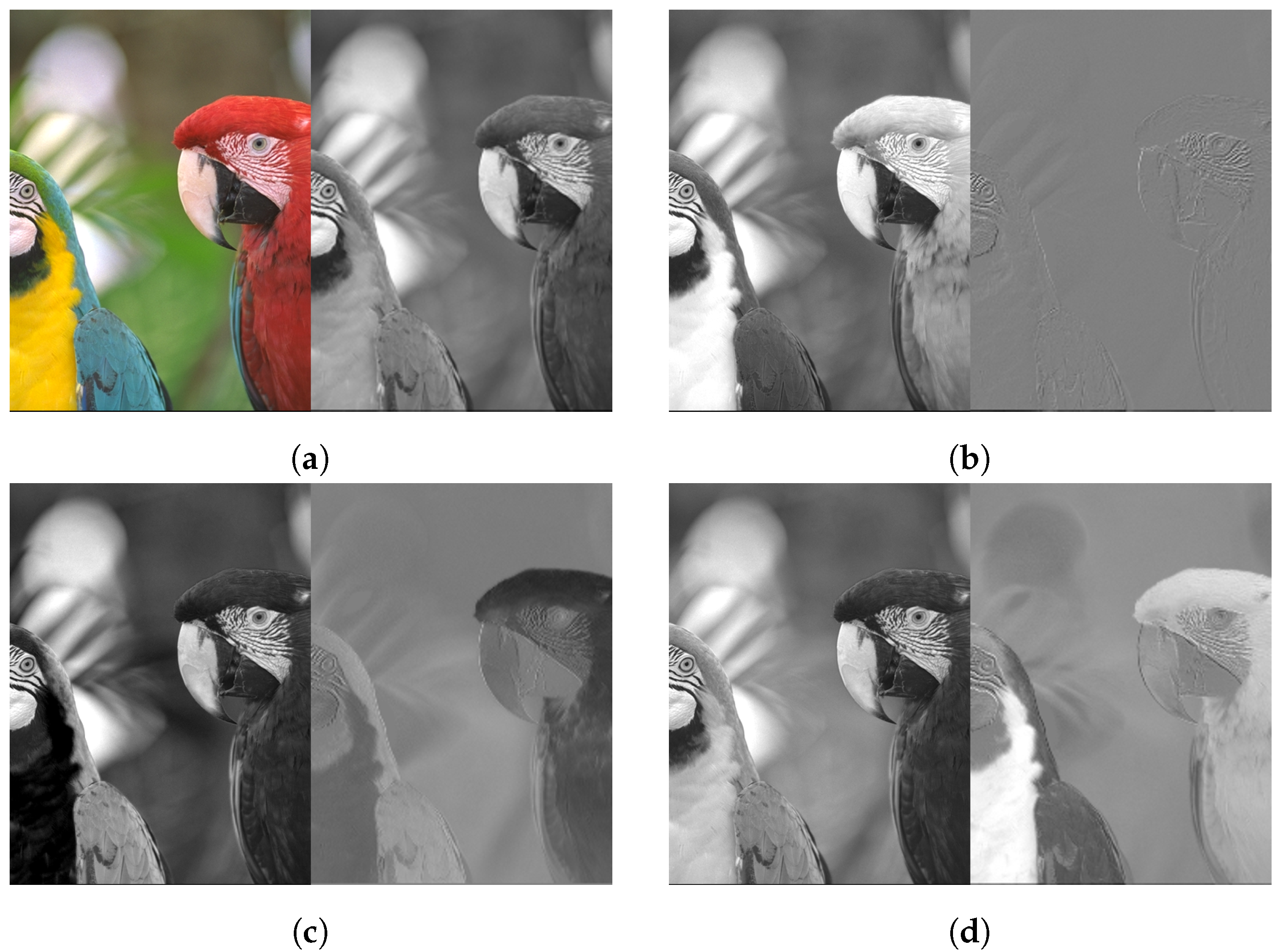 Sensors 24 06632 g005