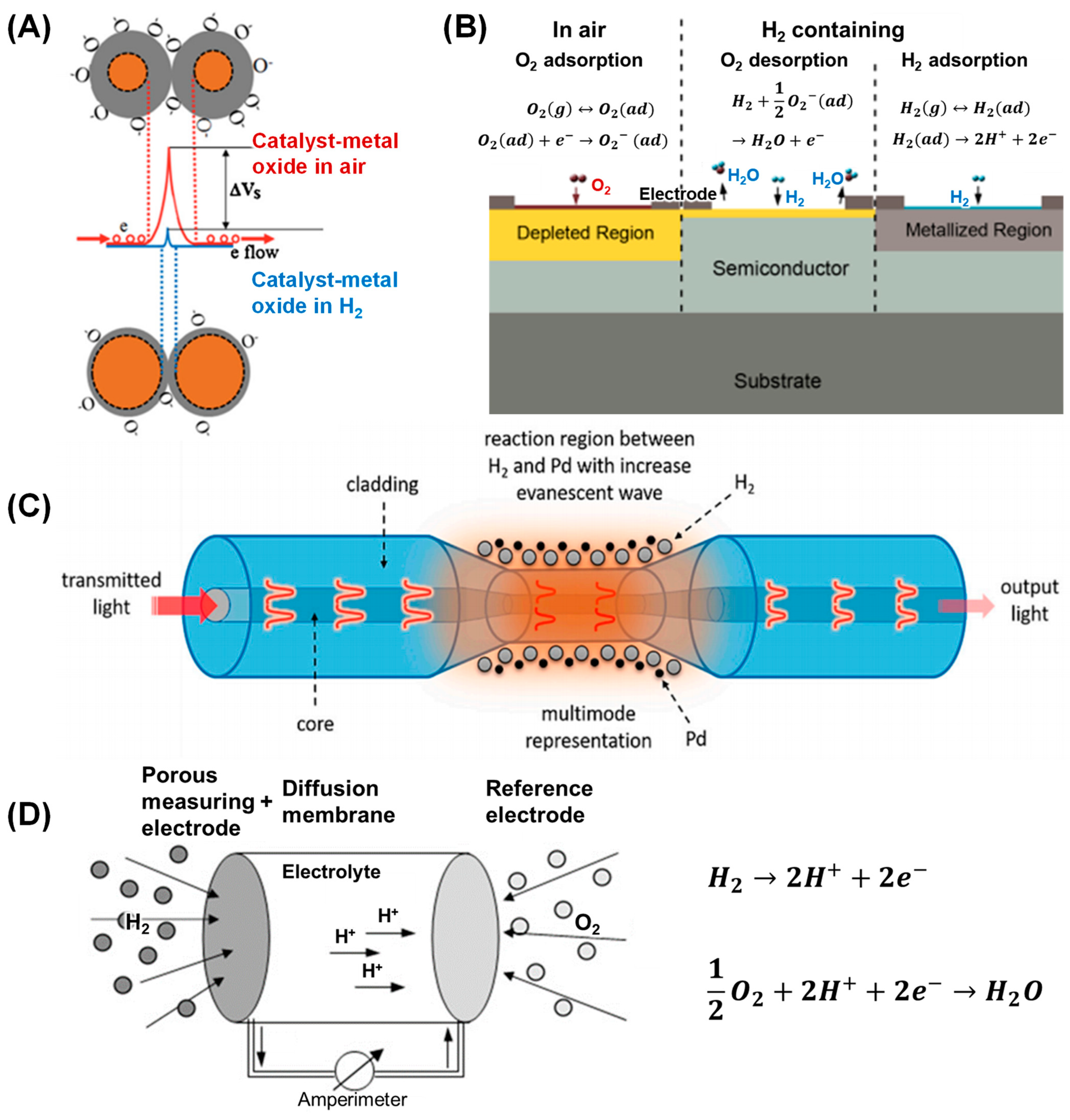 Sensors 24 06637 g001