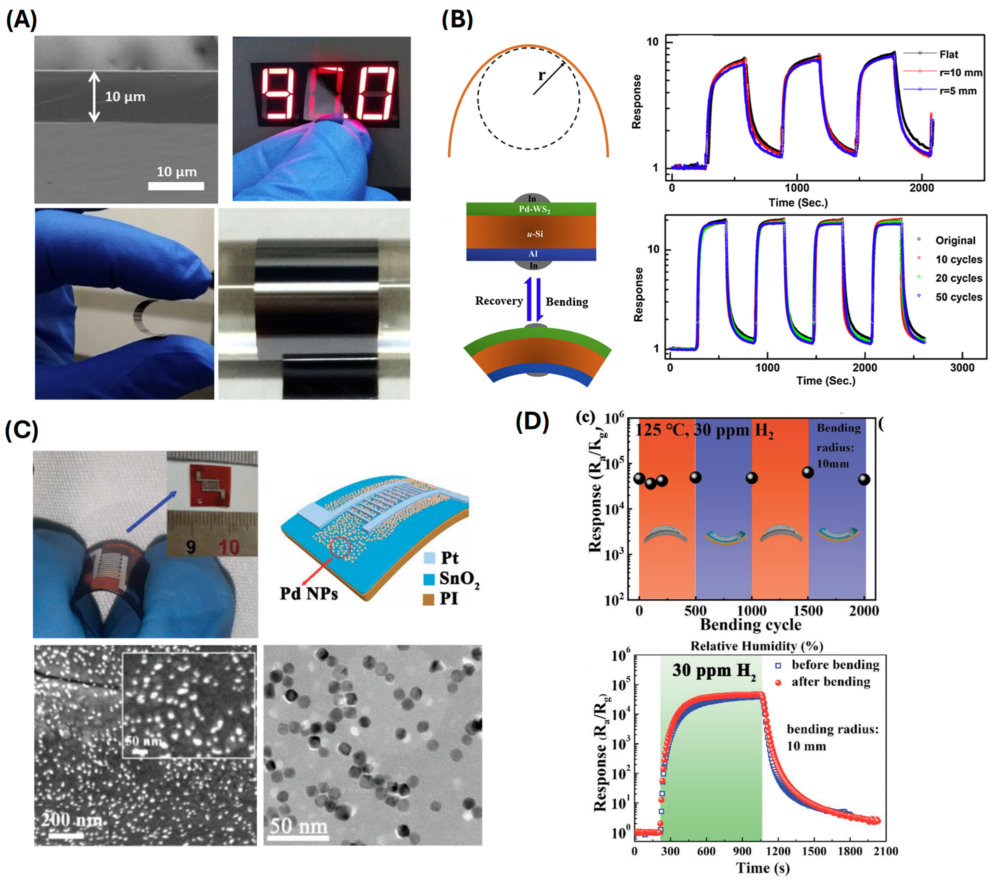Sensors 24 06637 g006