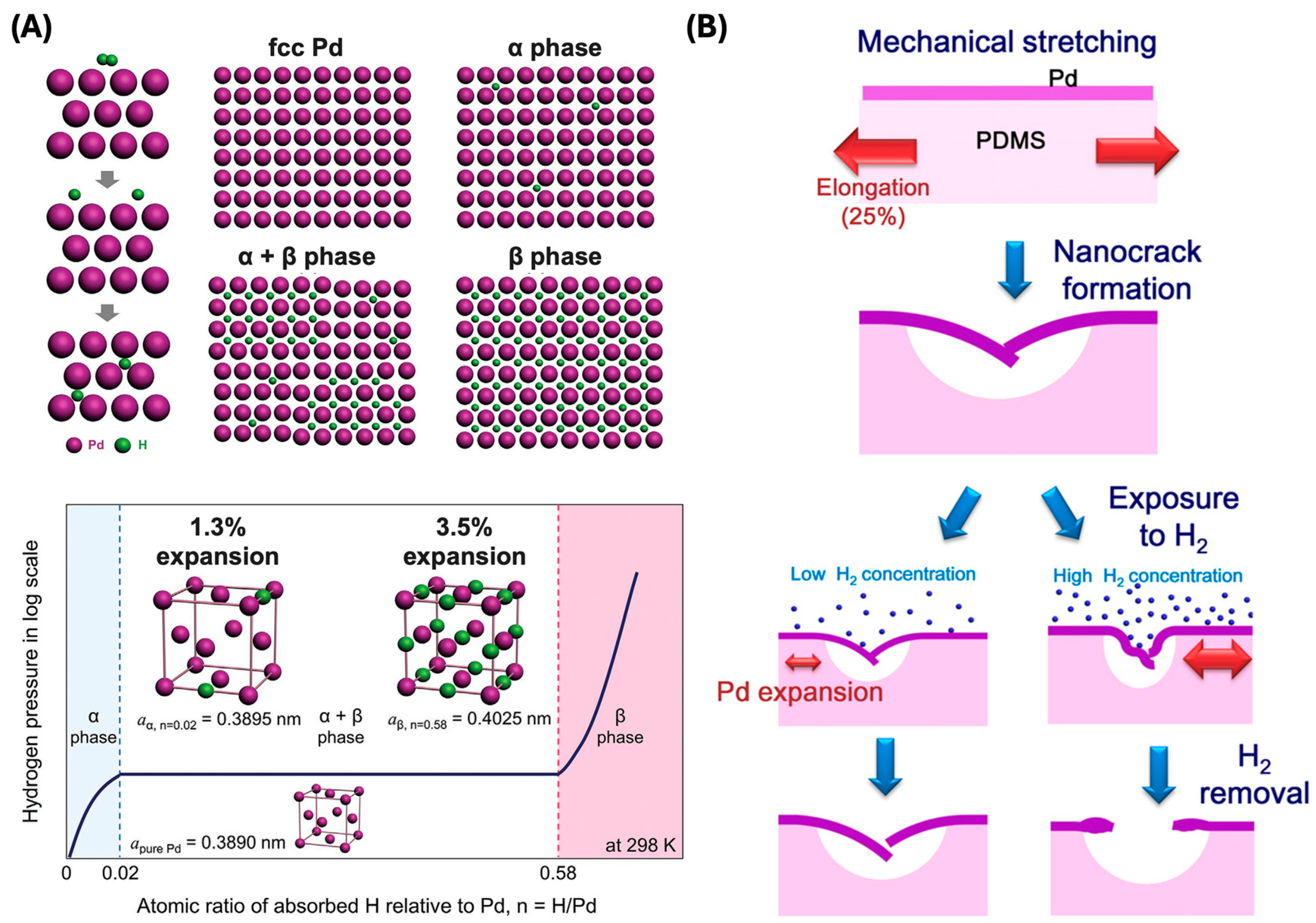 Sensors 24 06637 g009