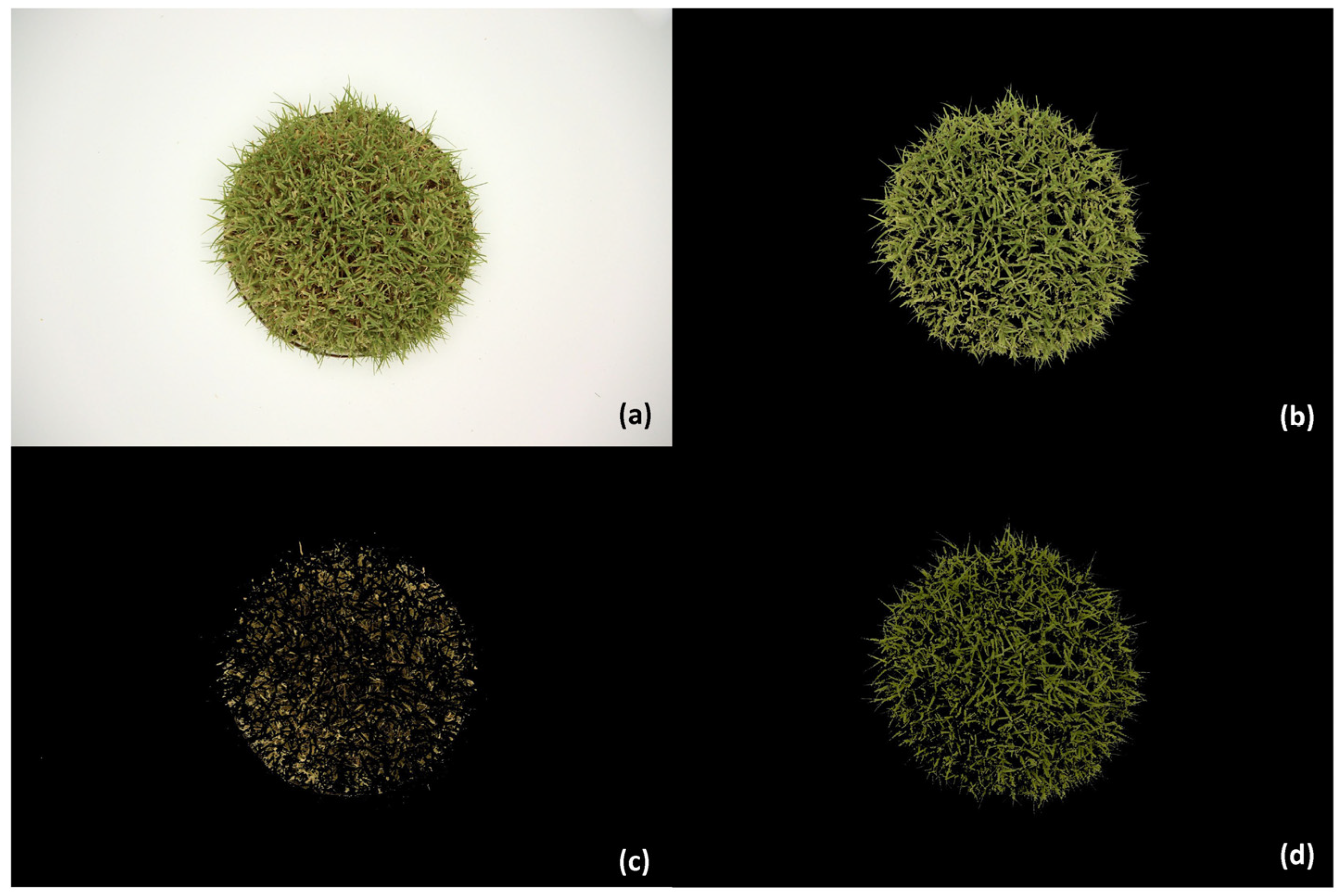 Sensors 24 06676 g002 Sensors 24 06676 g002