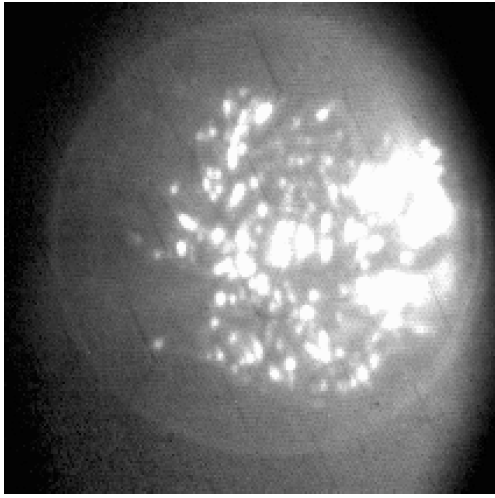 Sensors 24 06681 i007