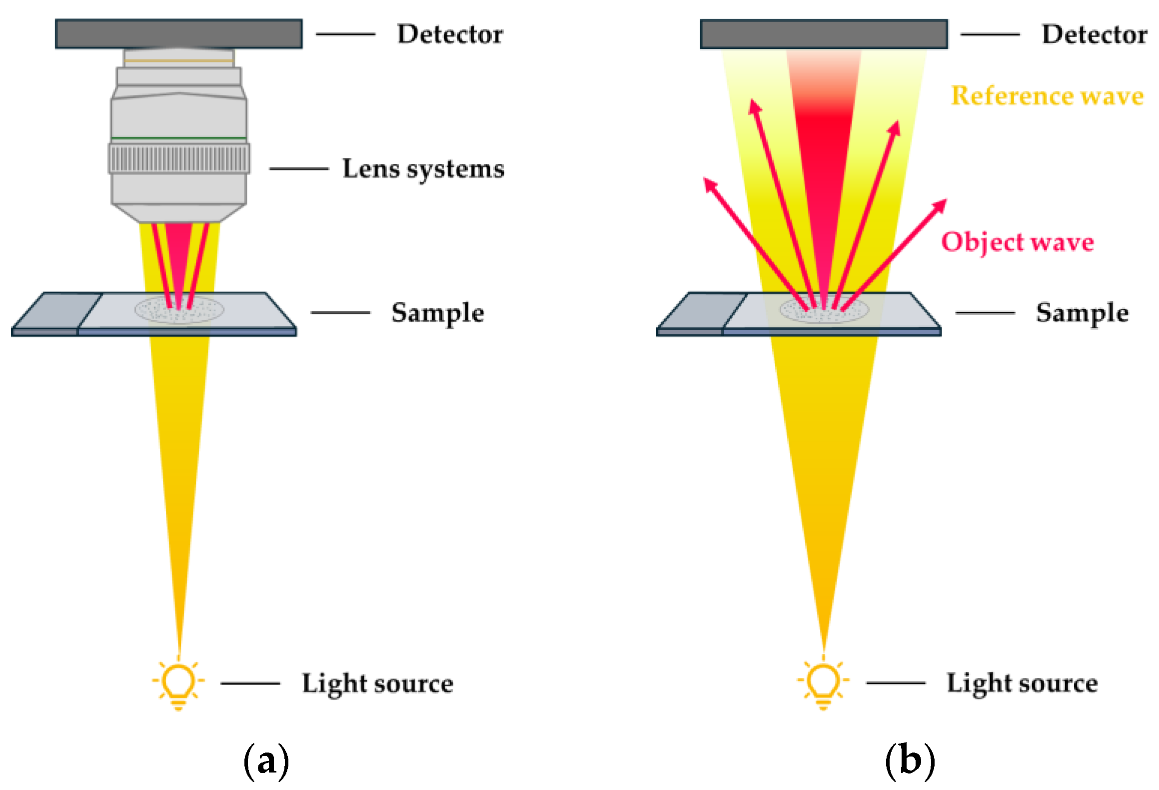 Sensors 24 06682 g003