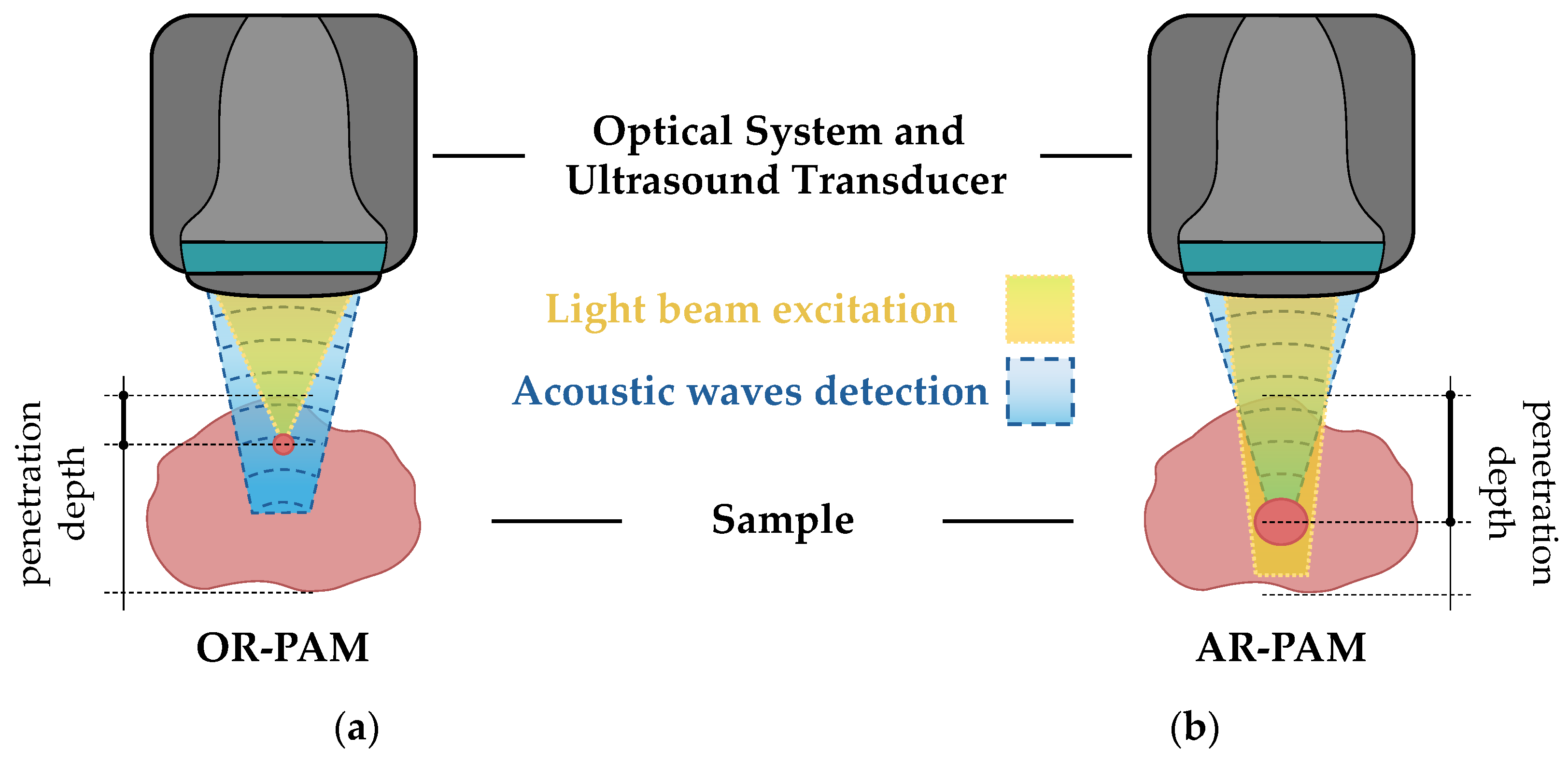 Sensors 24 06682 g004