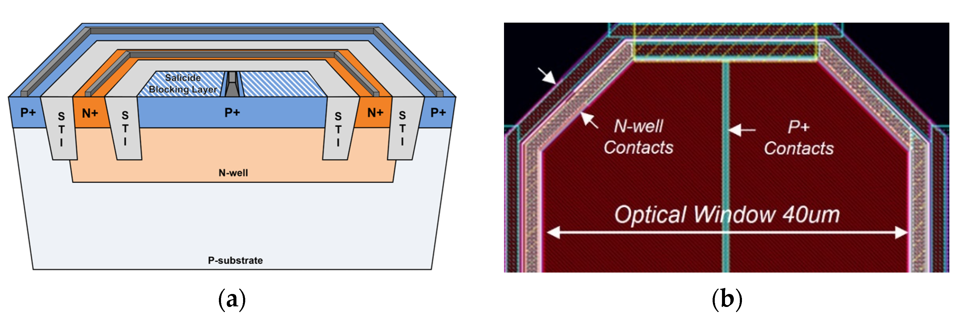 Sensors 24 06686 g002