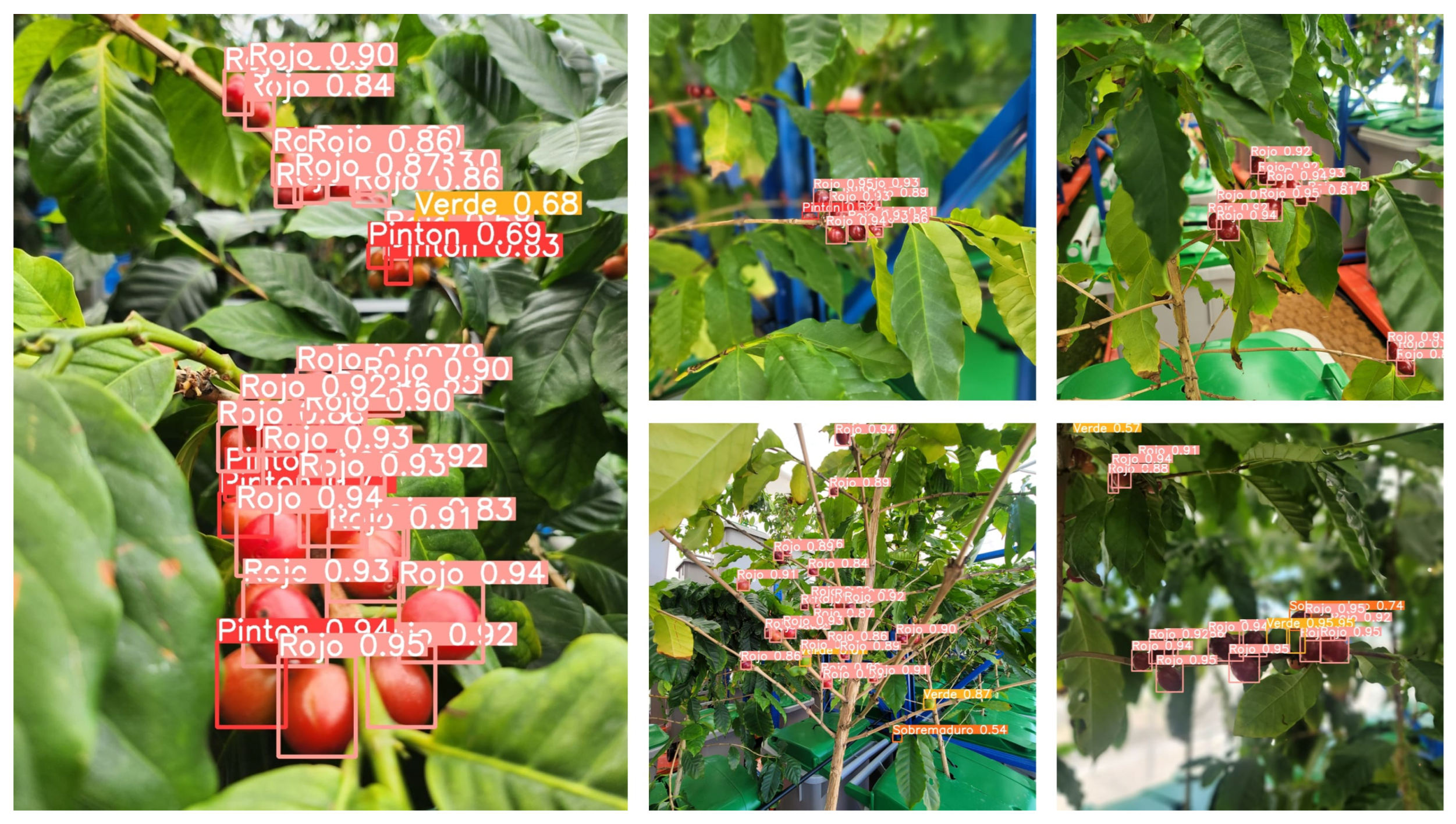 Sensors 24 06689 g010