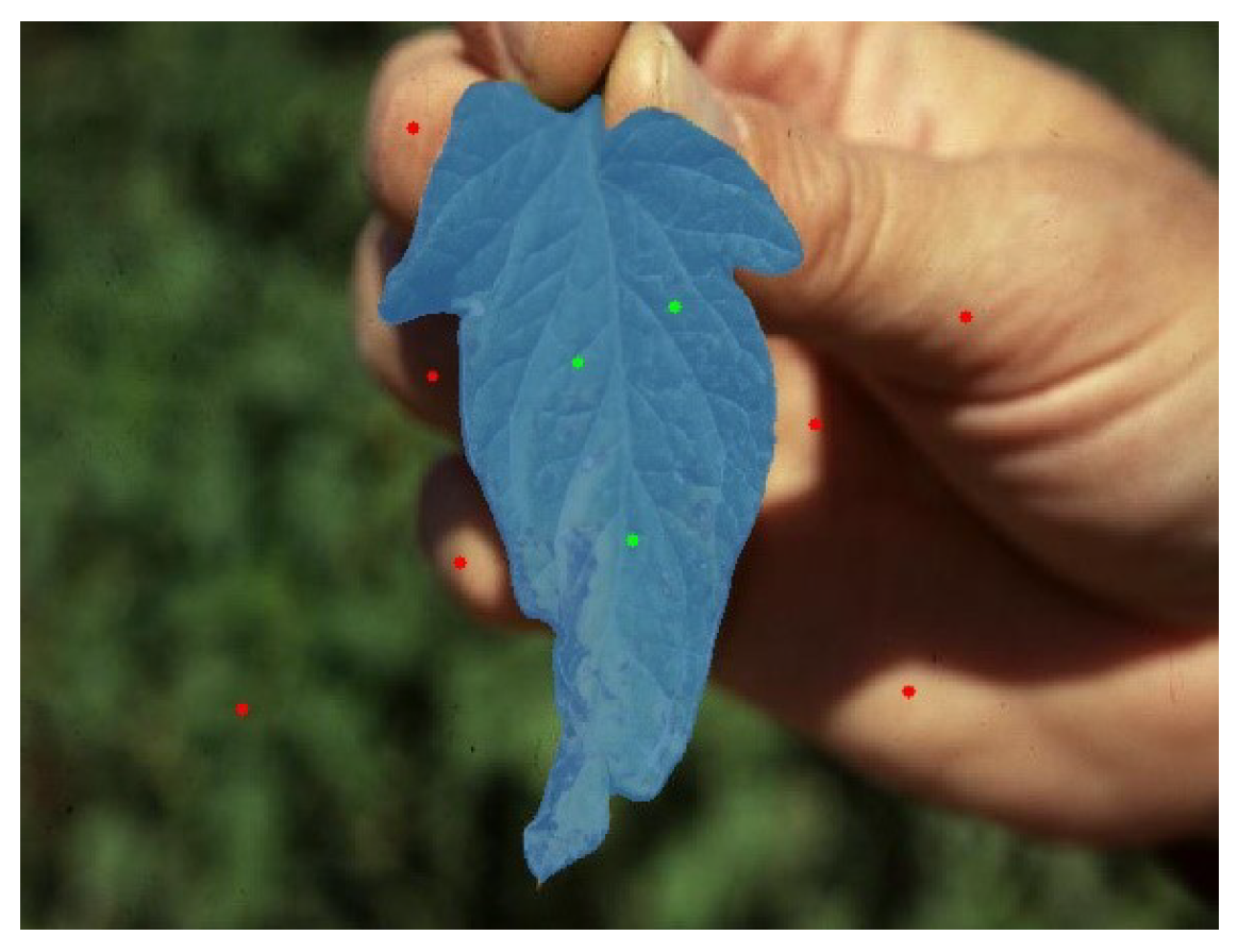 Sensors 24 06692 g002