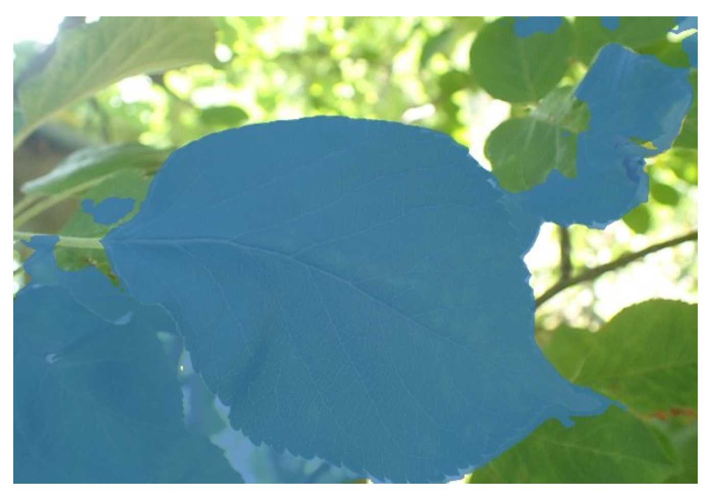 Sensors 24 06692 g003