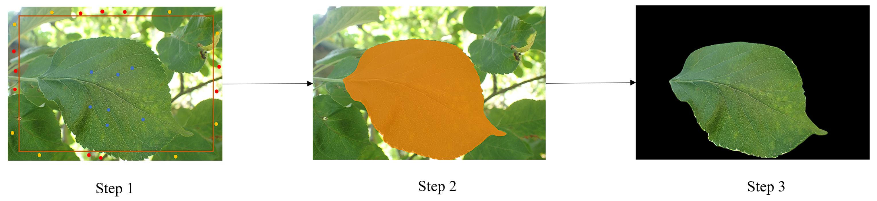 Sensors 24 06692 g004