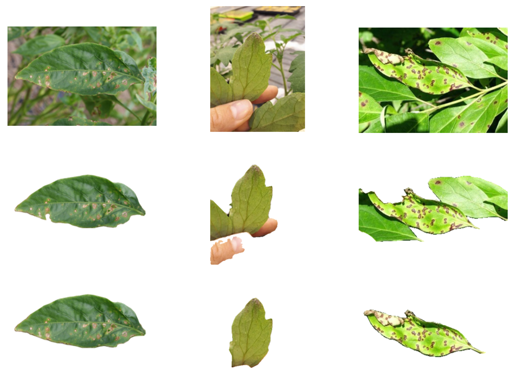 Sensors 24 06692 g006