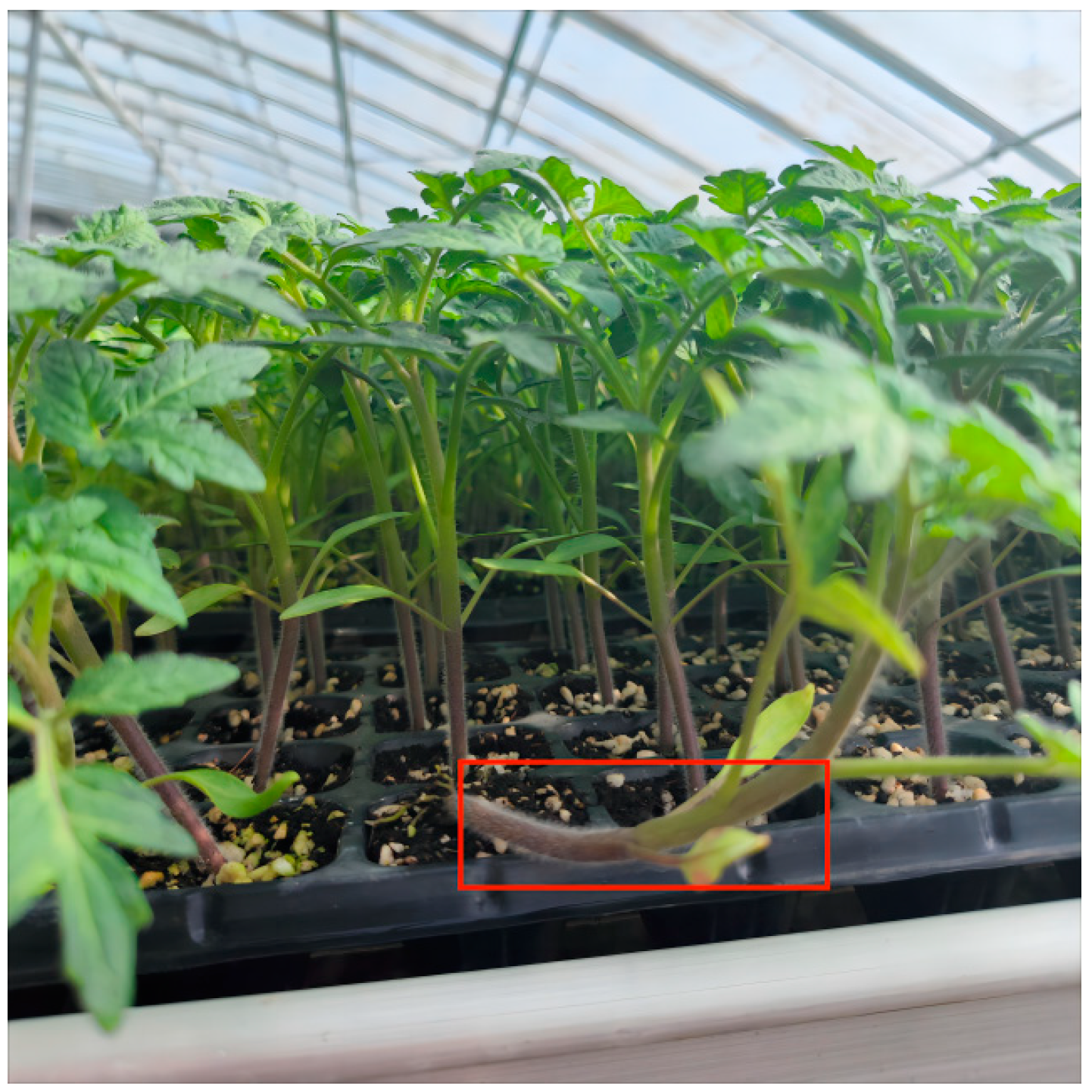 Sensors 24 06700 g003