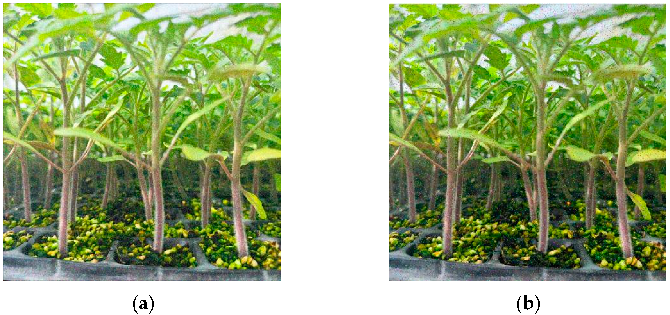 Sensors 24 06700 g008a