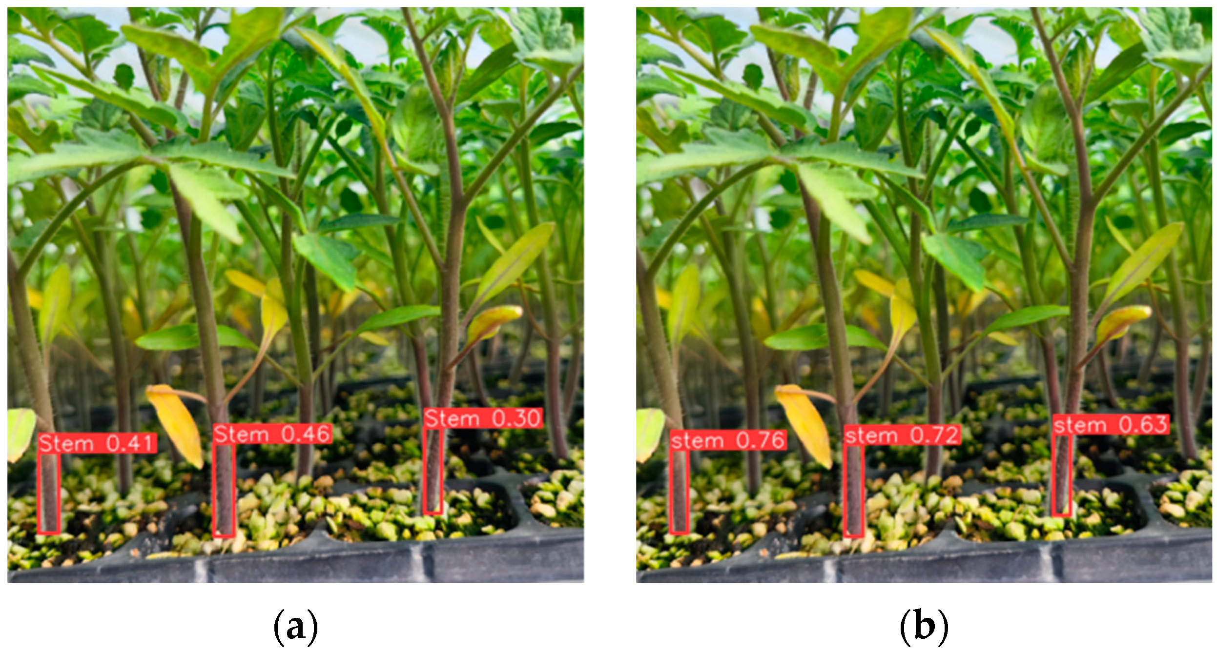 Sensors 24 06700 g011