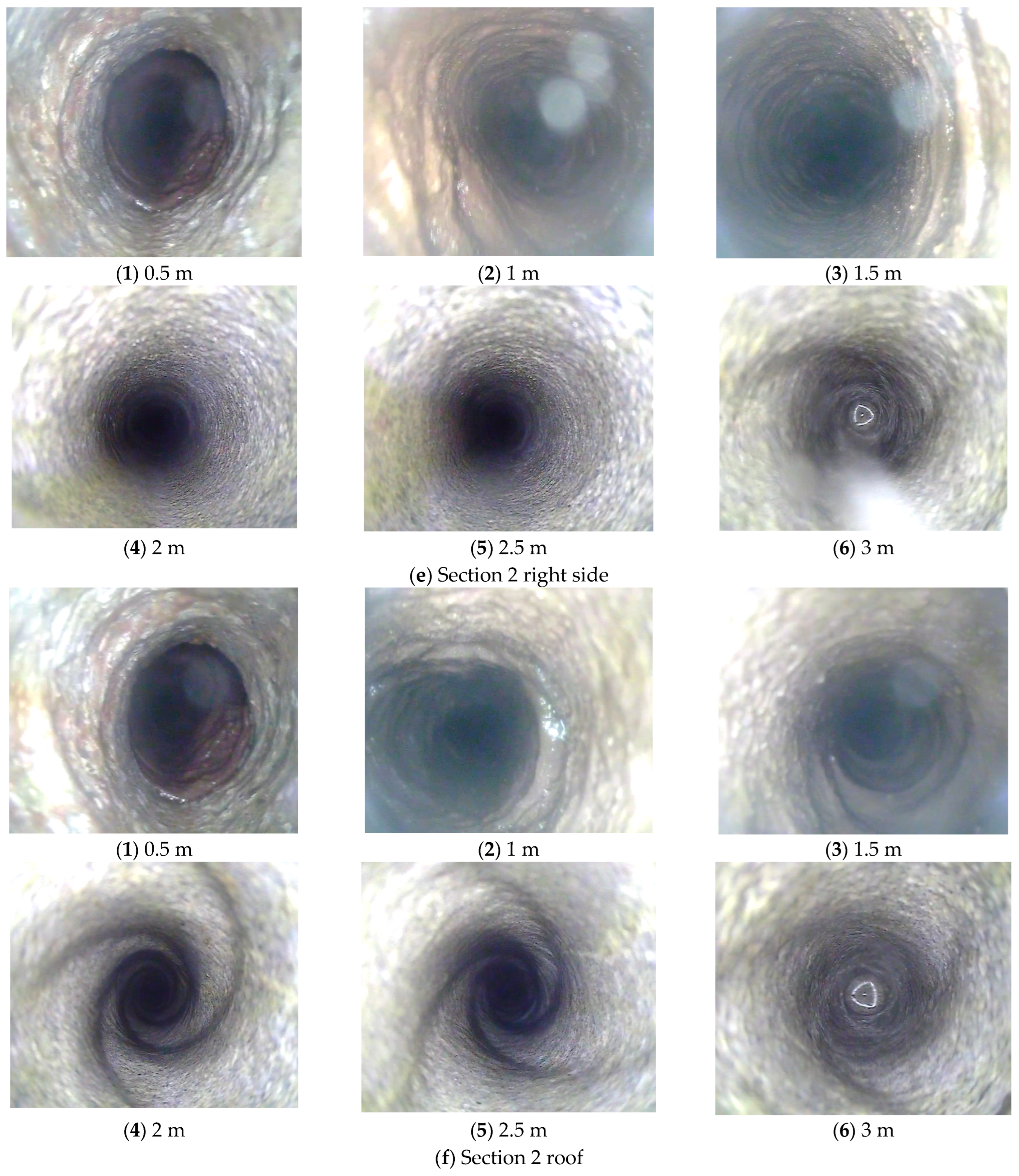 Sensors 24 06709 g012c