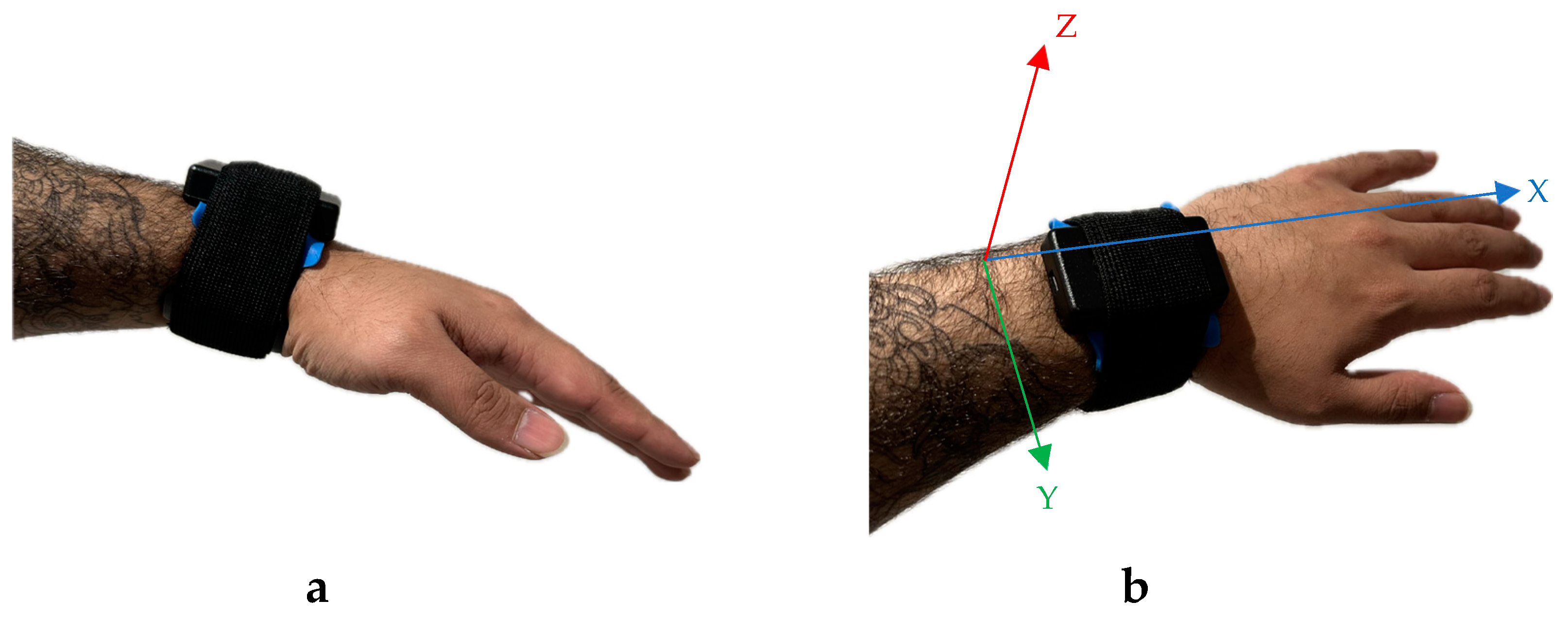 Sensors 24 06728 g002