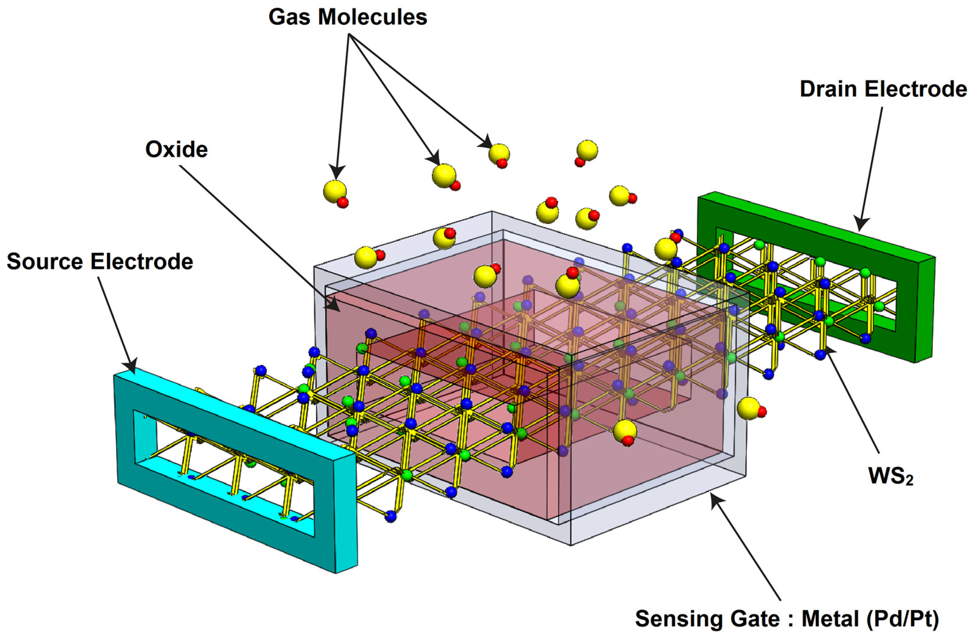 Sensors 24 06730 g001