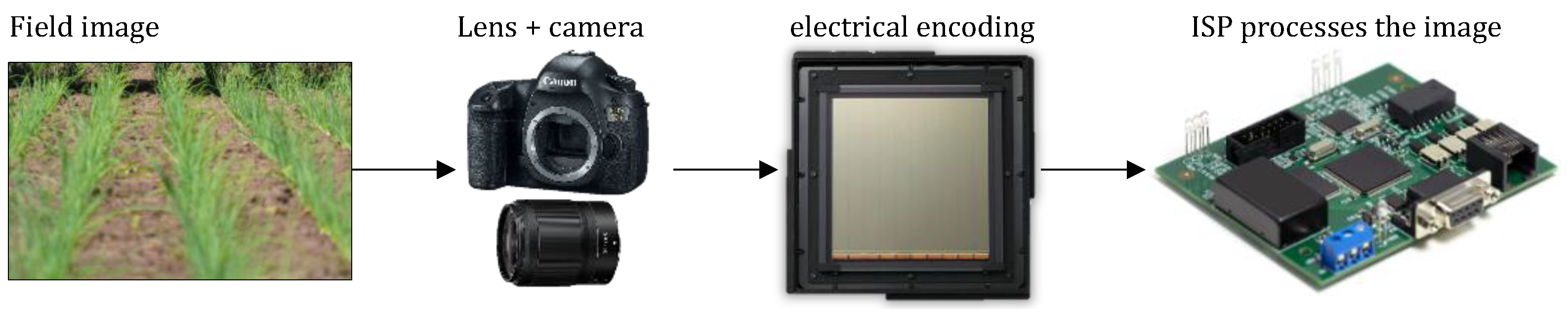 Sensors 24 06743 g002