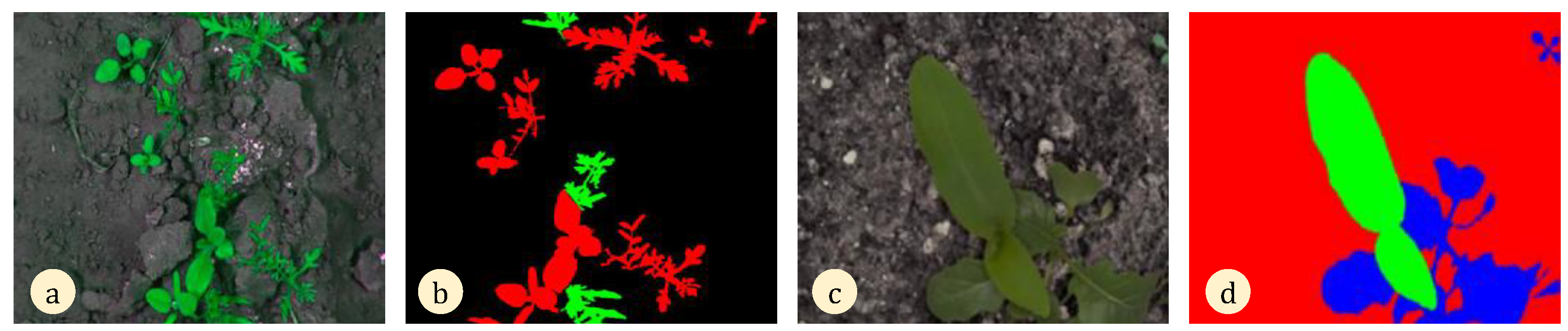 Sensors 24 06743 g003