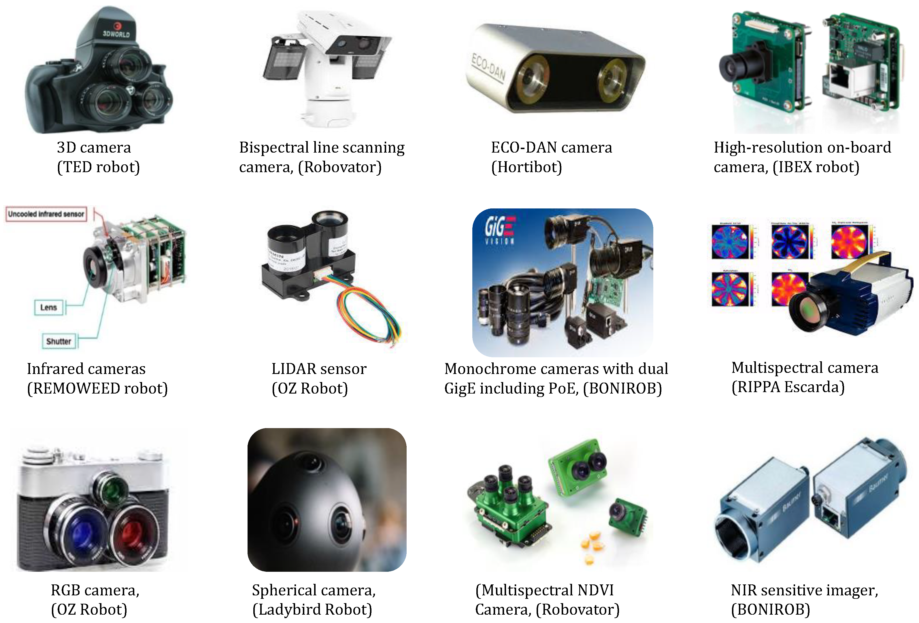 Sensors 24 06743 g006