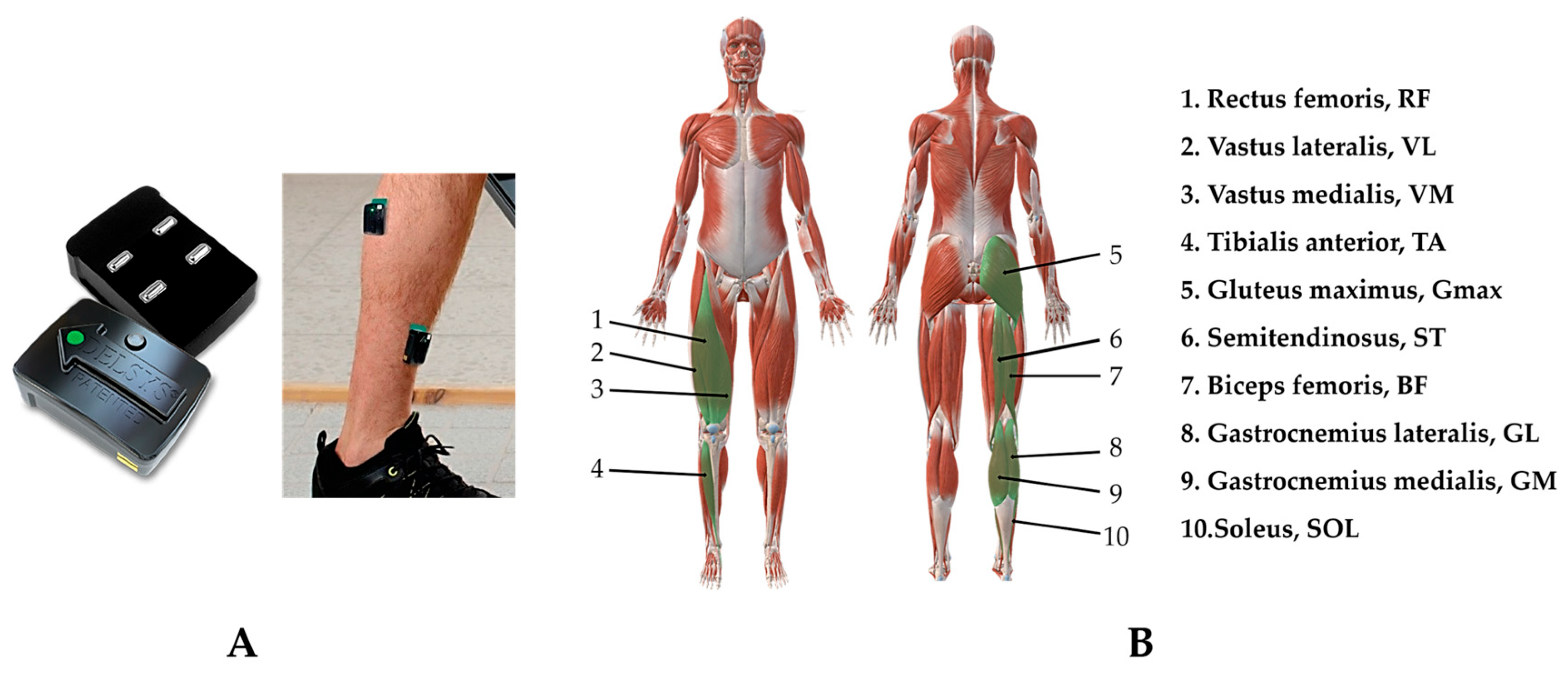 Sensors 24 06755 g002