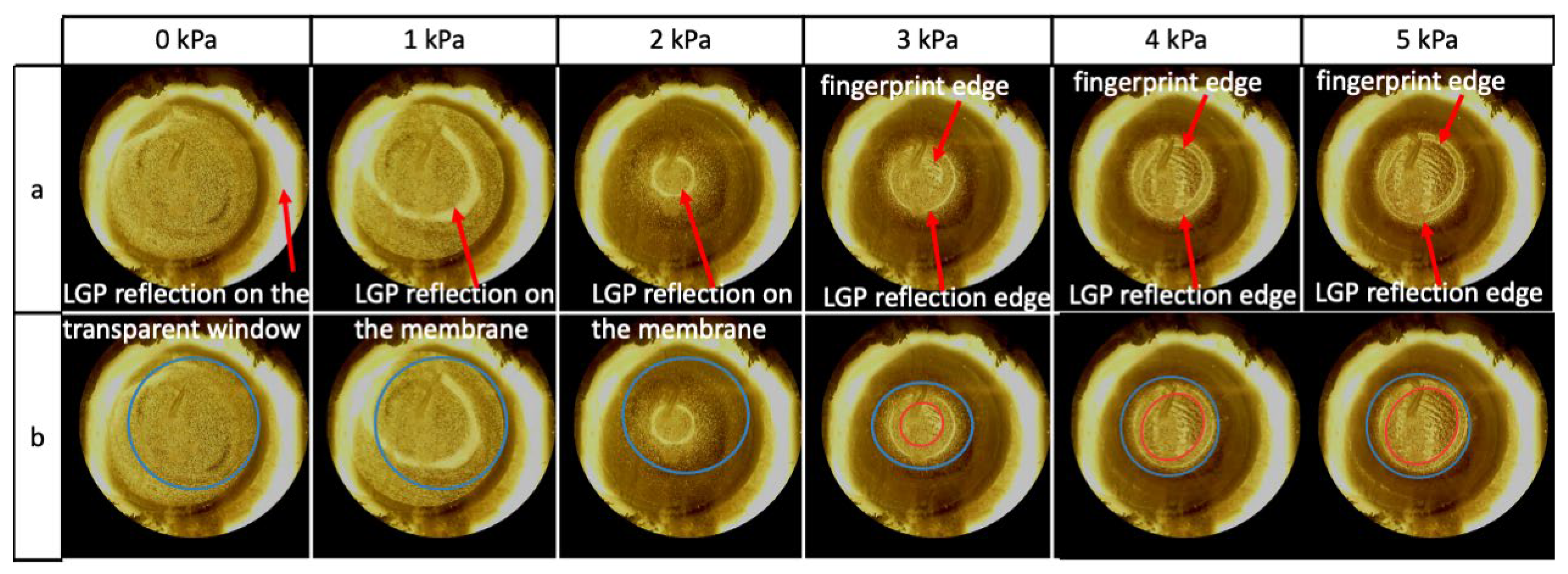 Sensors 24 06770 g010