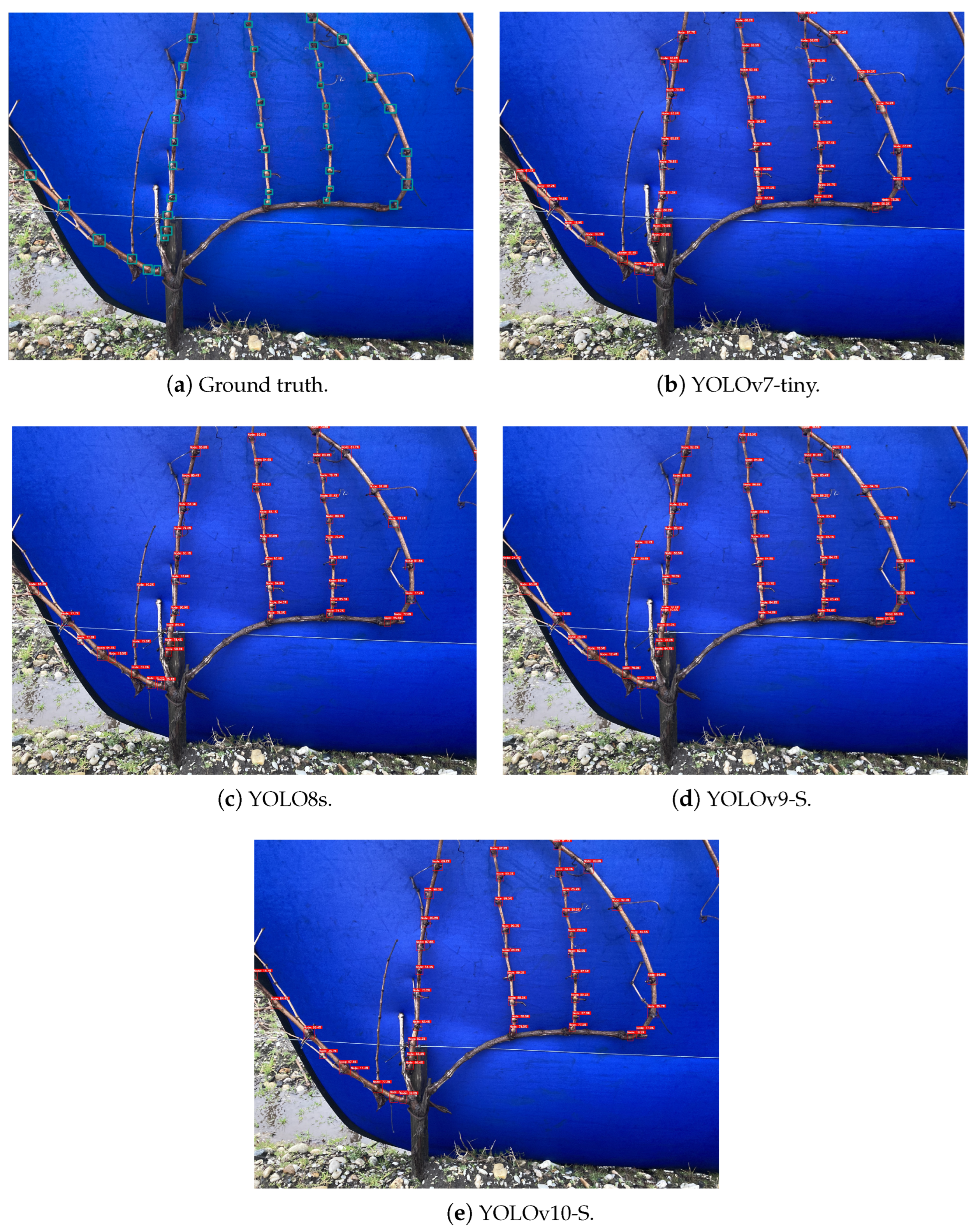 Sensors 24 06774 g006
