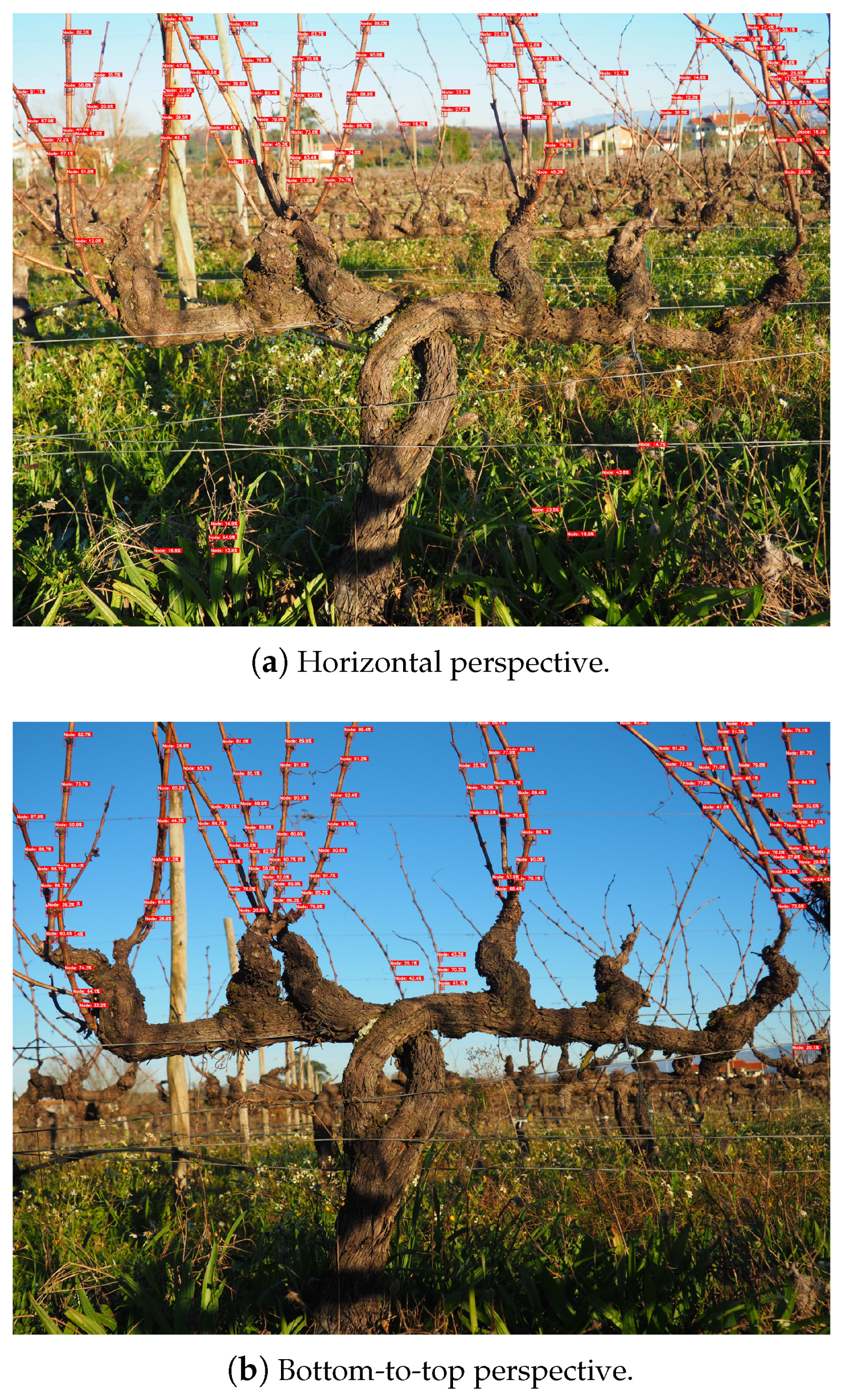 Sensors 24 06774 g008