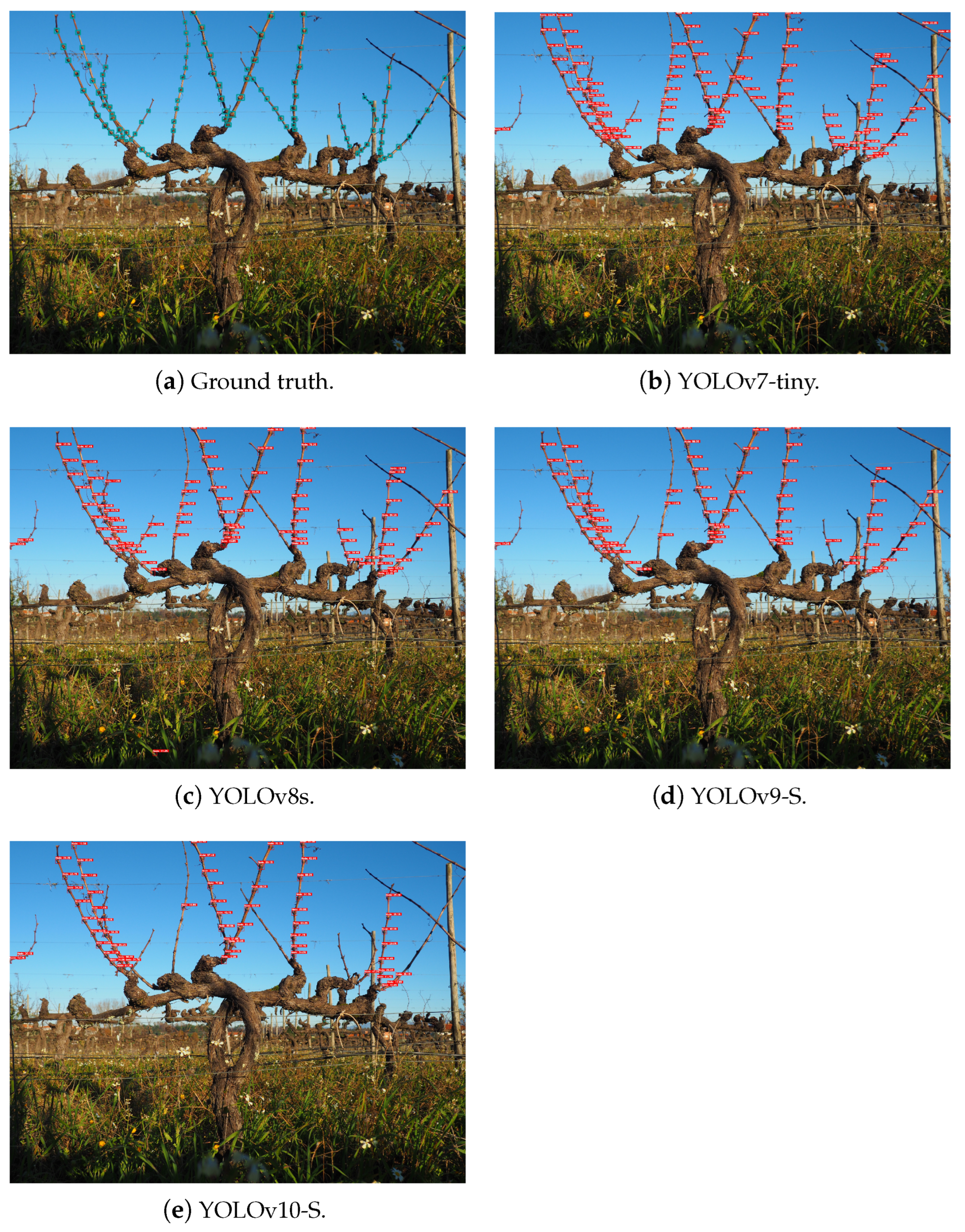 Sensors 24 06774 g009