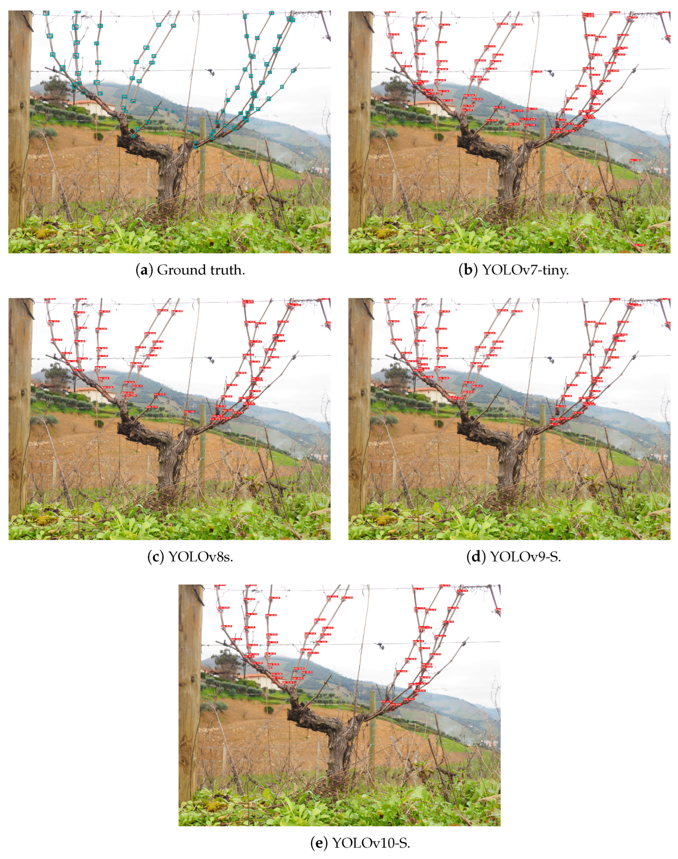 Sensors 24 06774 g010