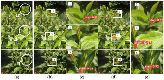 Vision-Based Localization Method for Picking Points in Tea-Harvesting ...