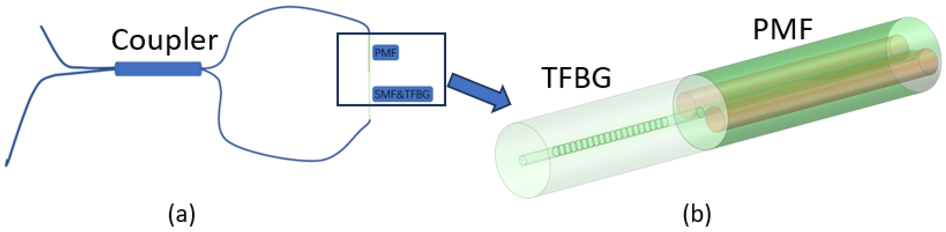 Sensors 24 06779 g001