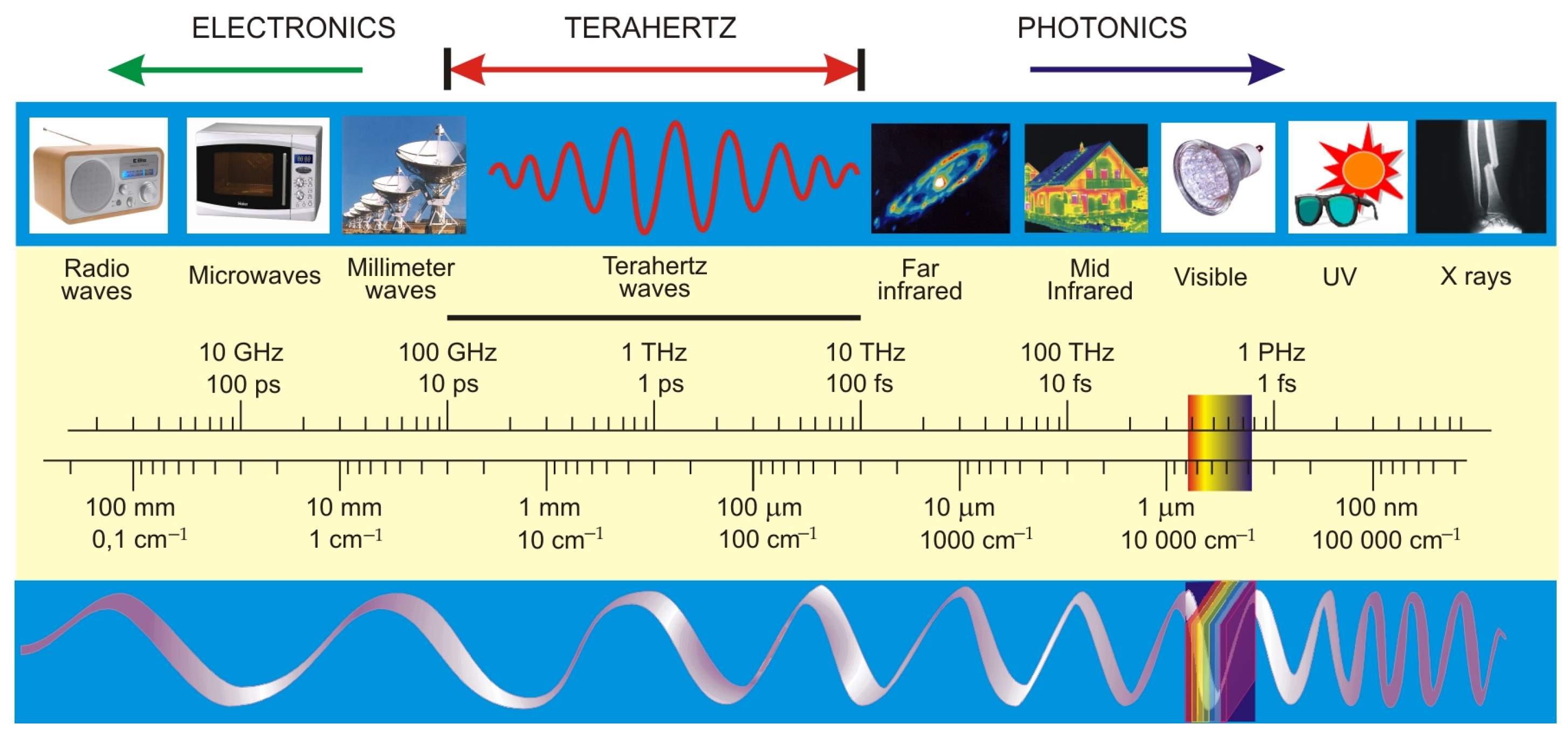 Sensors 24 06784 g001 Sensors 24 06784 g001