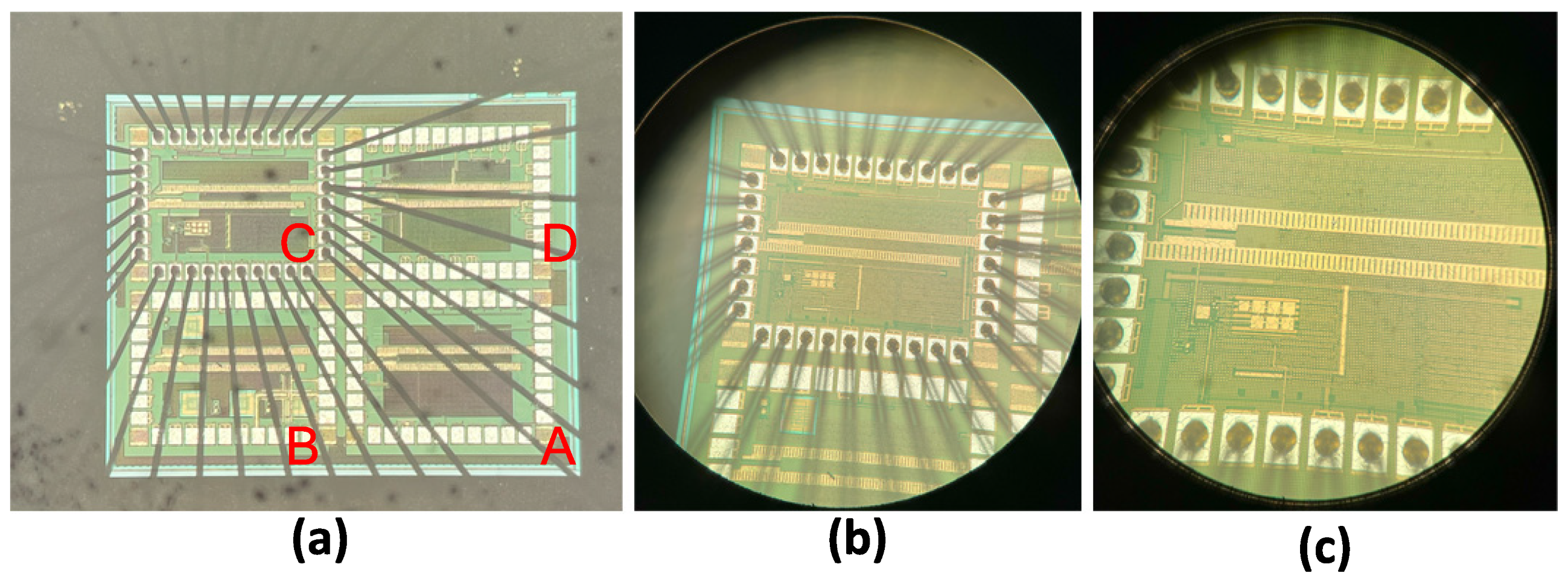 Sensors 24 06789 g004