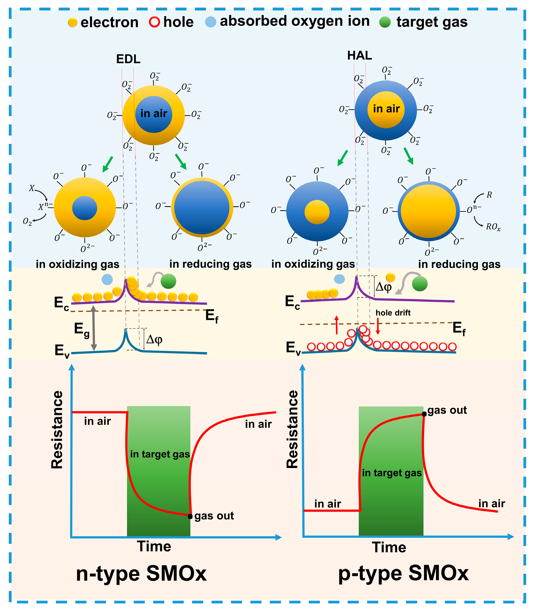 Sensors 24 06797 g002