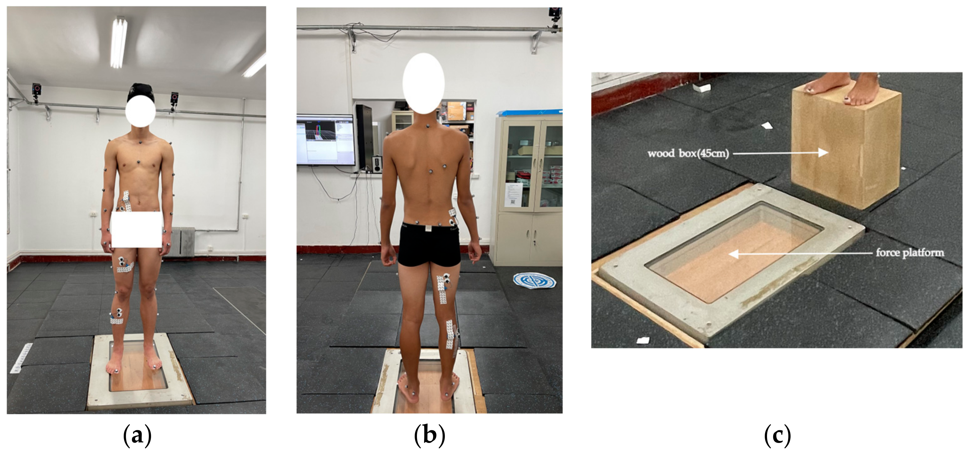 Sensors 24 06811 g002 Sensors 24 06811 g002
