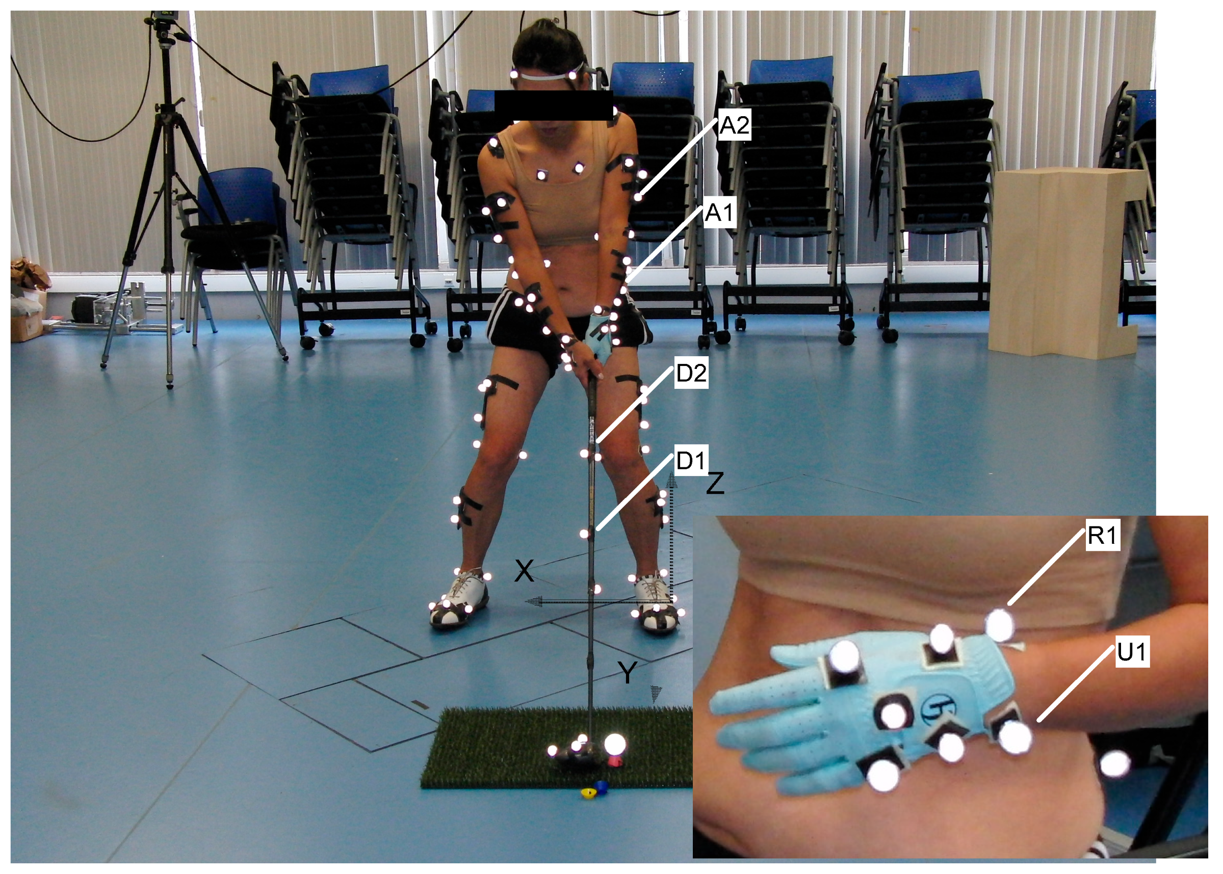 Sensors 24 06845 g002