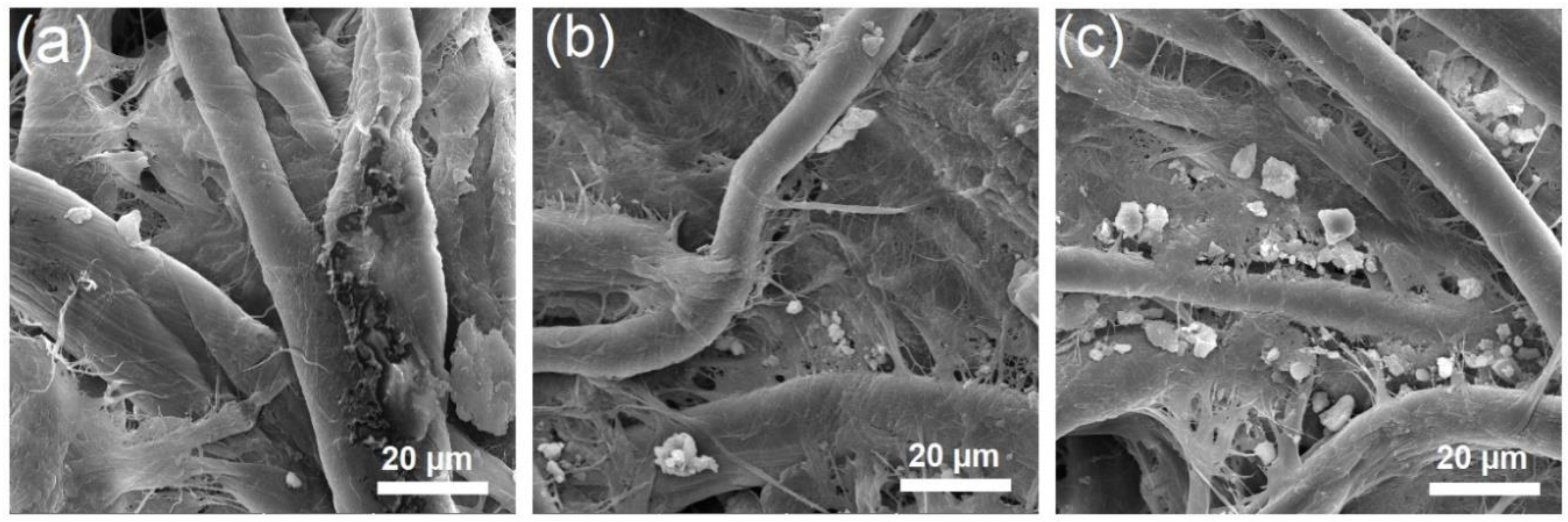 Sensors 24 06860 g005