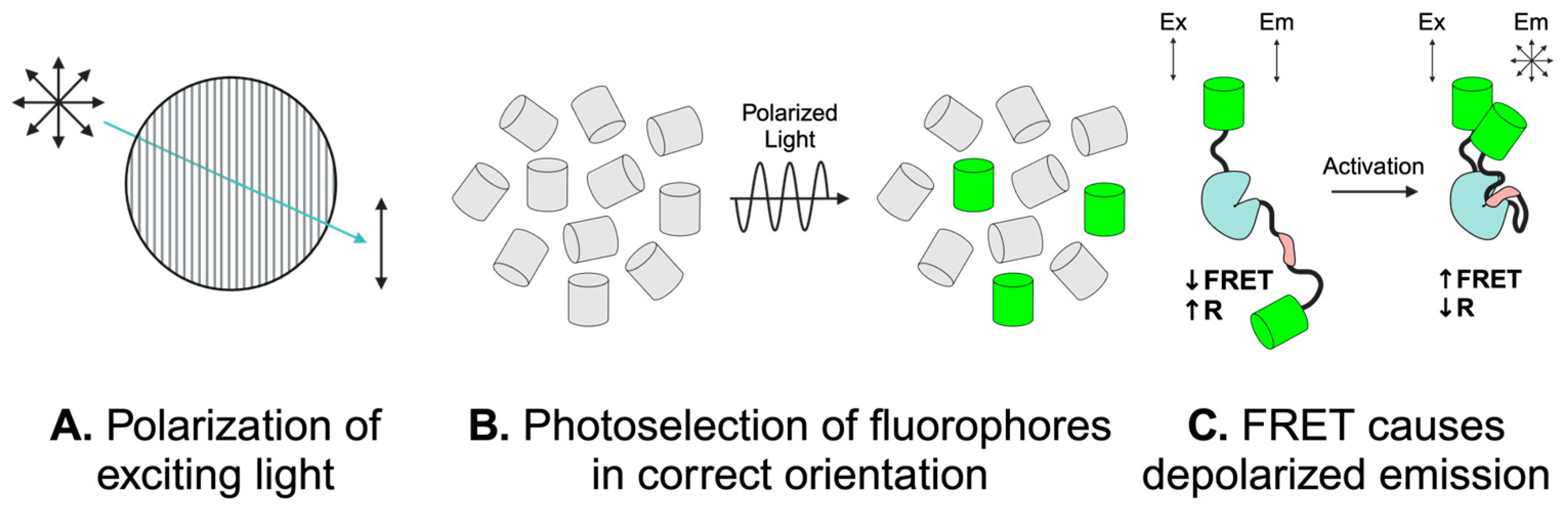 Sensors 24 06869 g001 Sensors 24 06869 g001