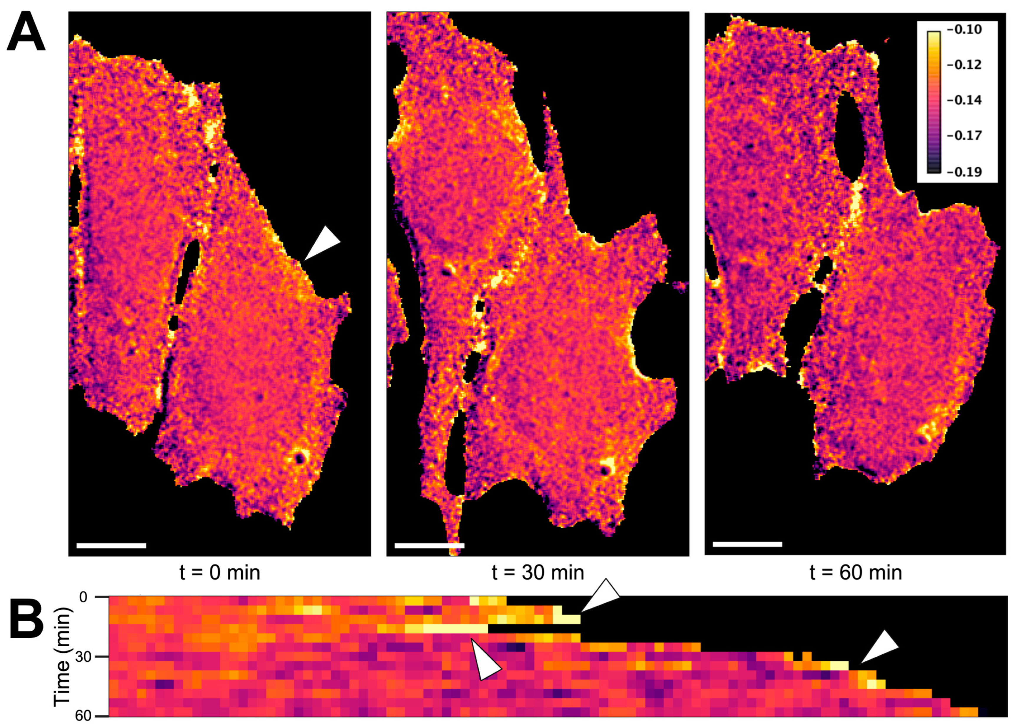 Sensors 24 06869 g005 Sensors 24 06869 g005