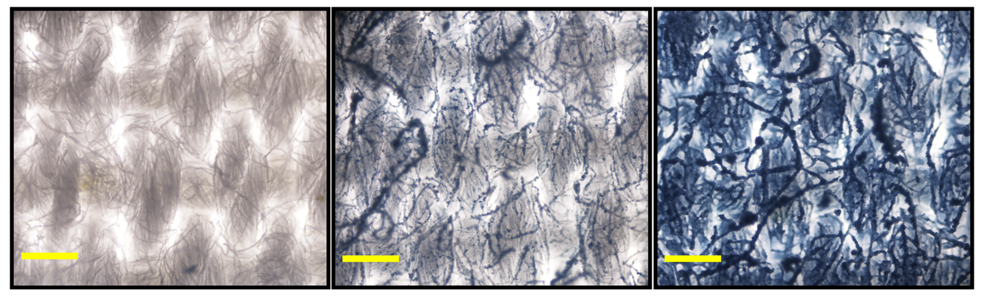 Sensors 24 06925 g007