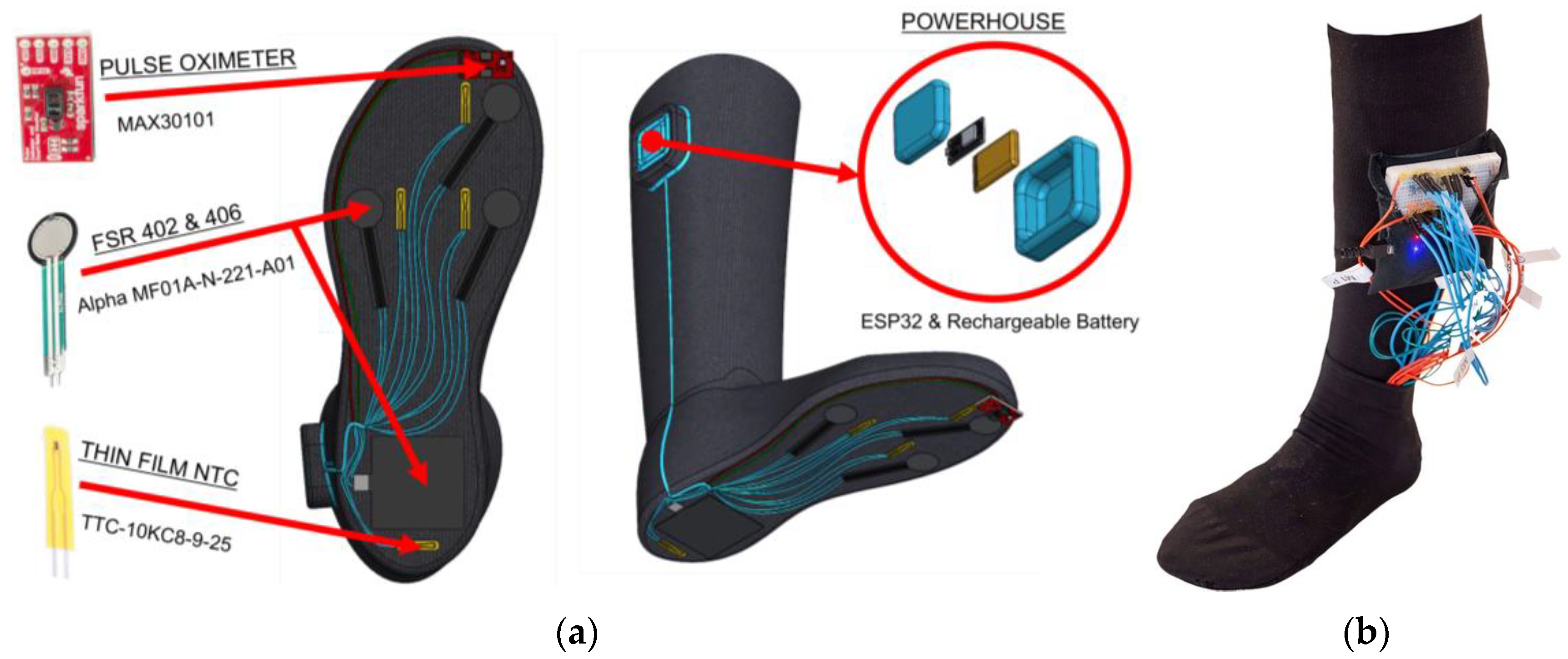 Sensors 24 06928 g001