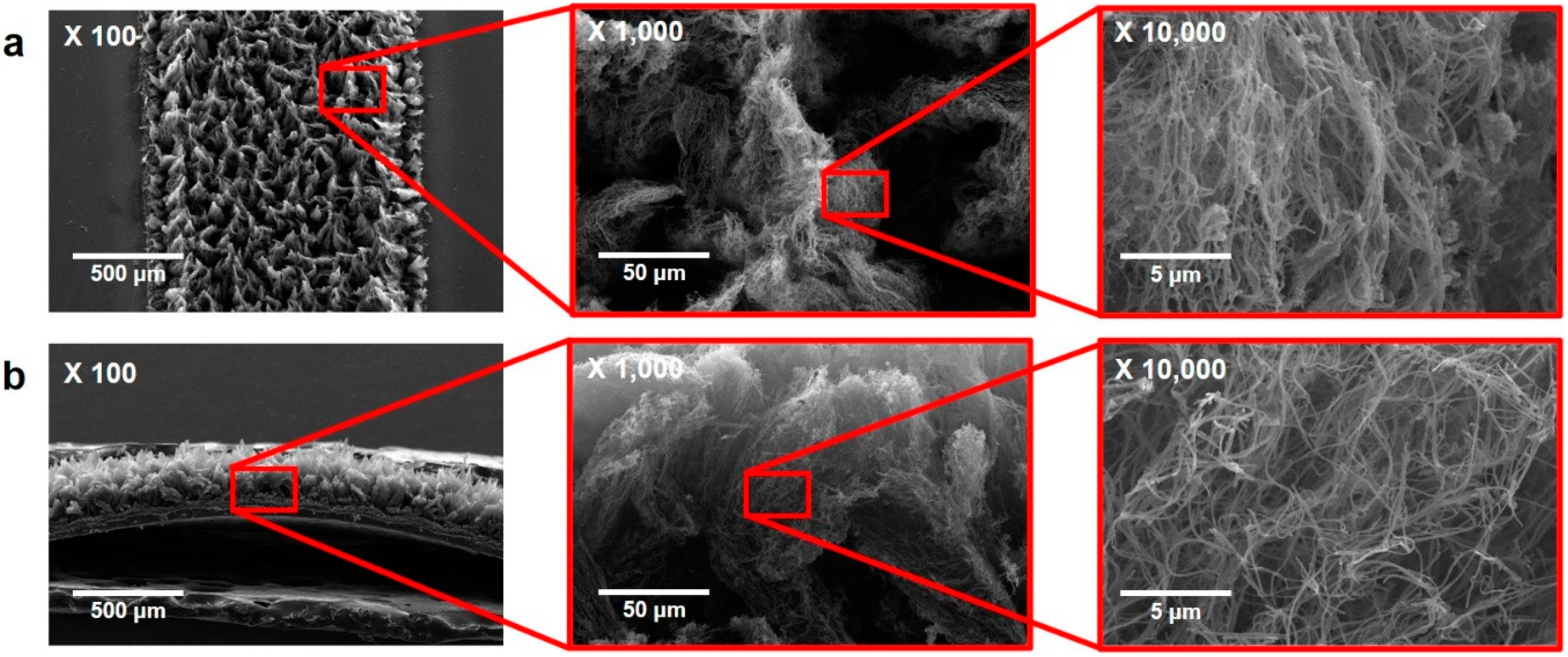 Sensors 24 06945 g002