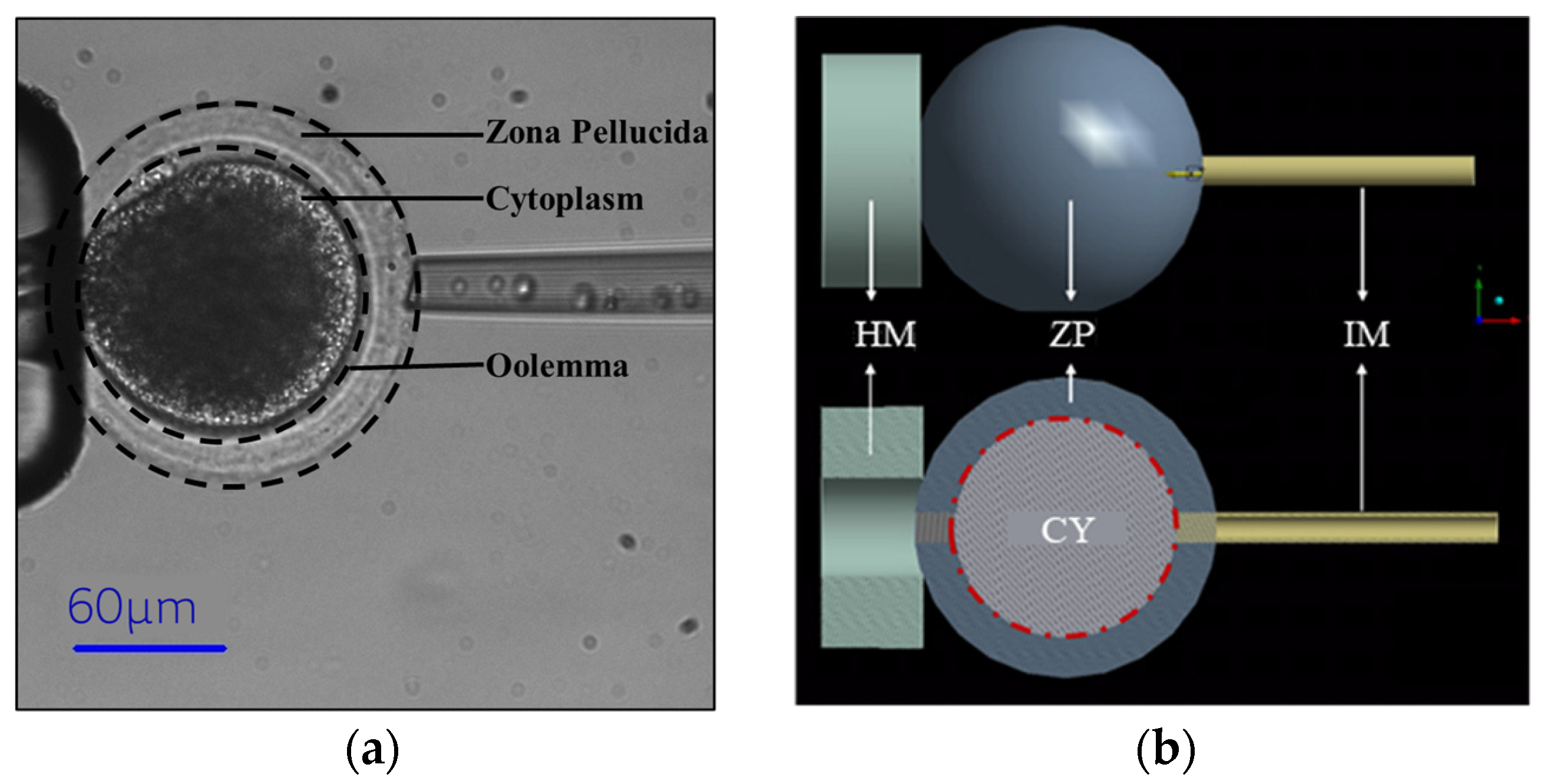 Sensors 24 06988 g001