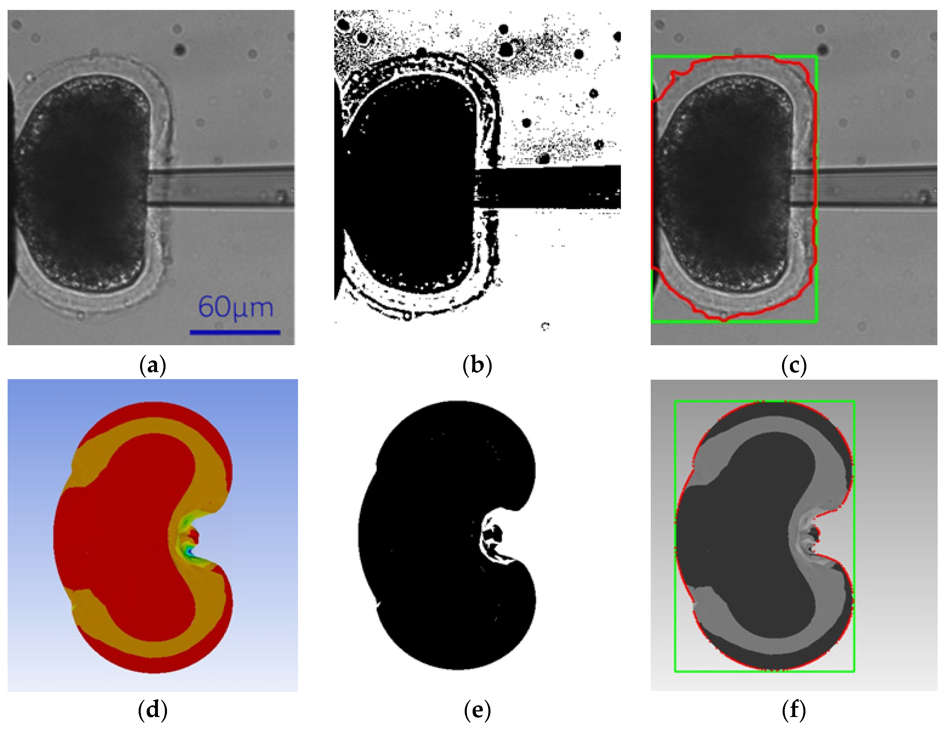 Sensors 24 06988 g002